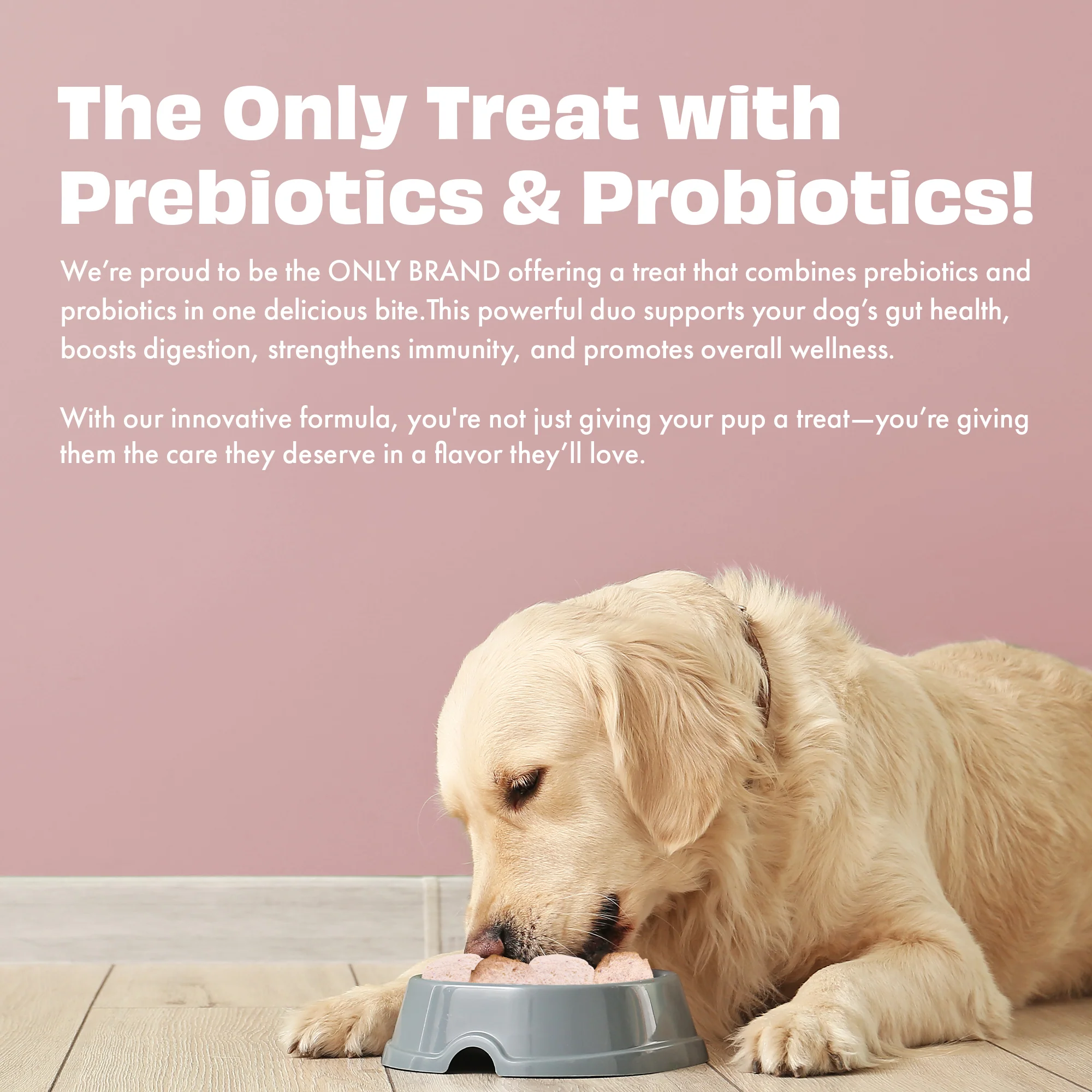 Pawfect Yogurt Melties Pre and Probiotic Dog Treats with Strawberry, Apple, Papaya & Burdock Root 38g - Image 6