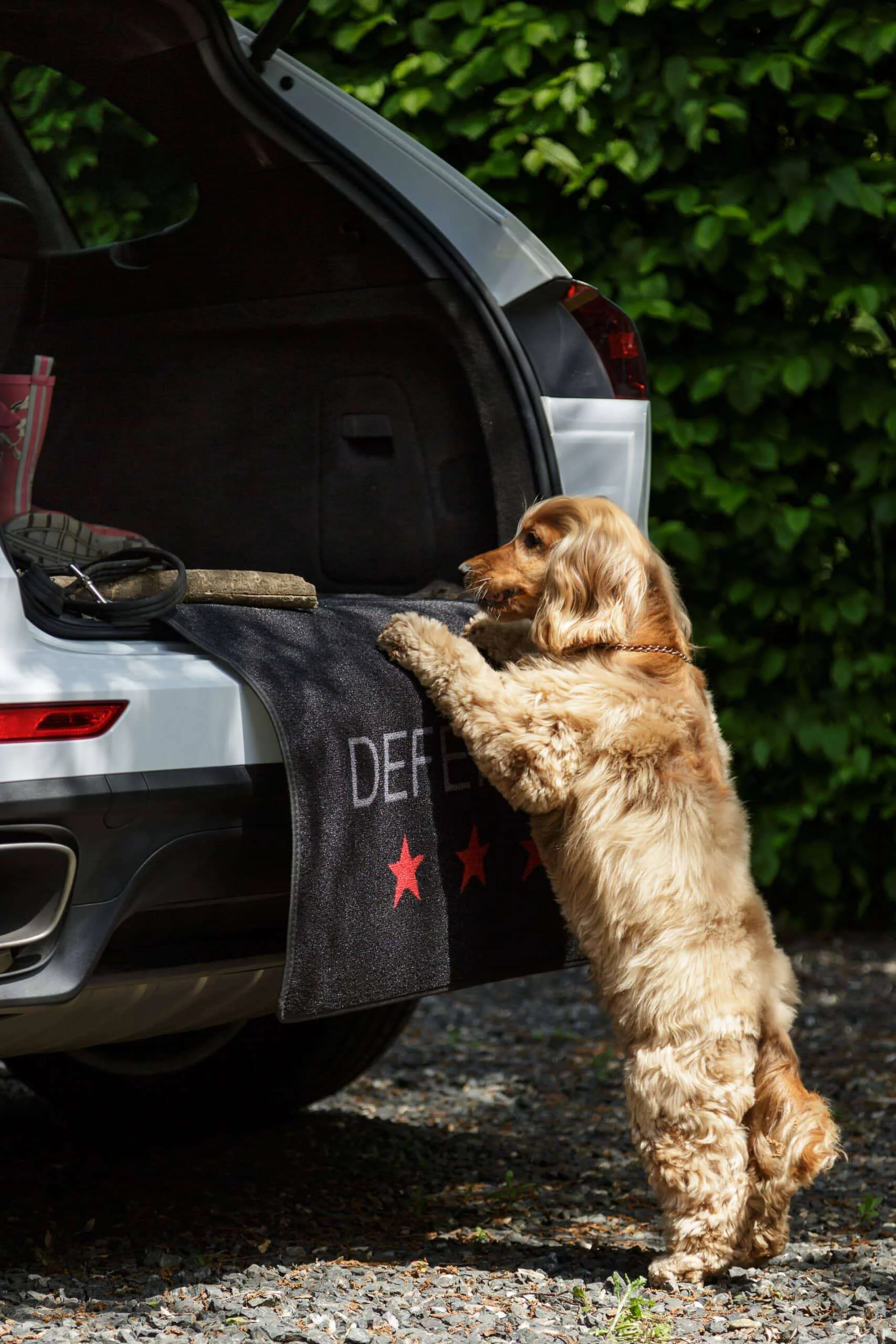 Pet Rebellion Defender Car Protection Mat - Image 2