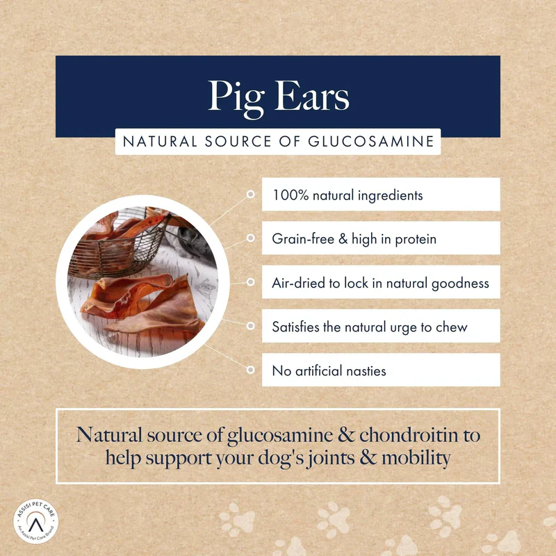 Hollings Pigs Ear Bulk Box (50) - Image 2