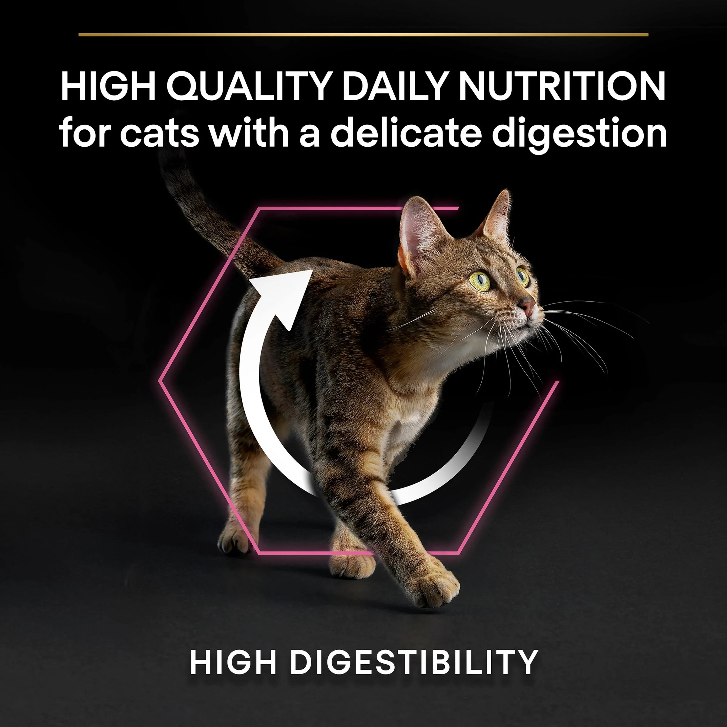 Pro Plan Cat - Adult Delicate Digestion Turkey 3kg - Image 4
