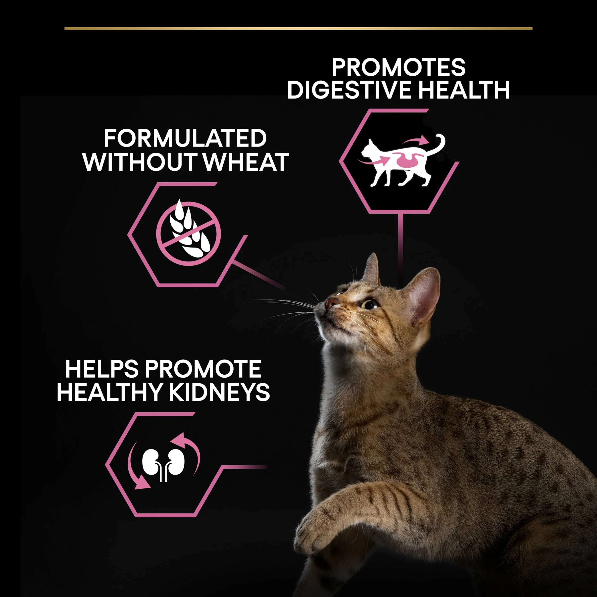 Pro Plan Cat - Adult Delicate Digestion Turkey 3kg - Image 5