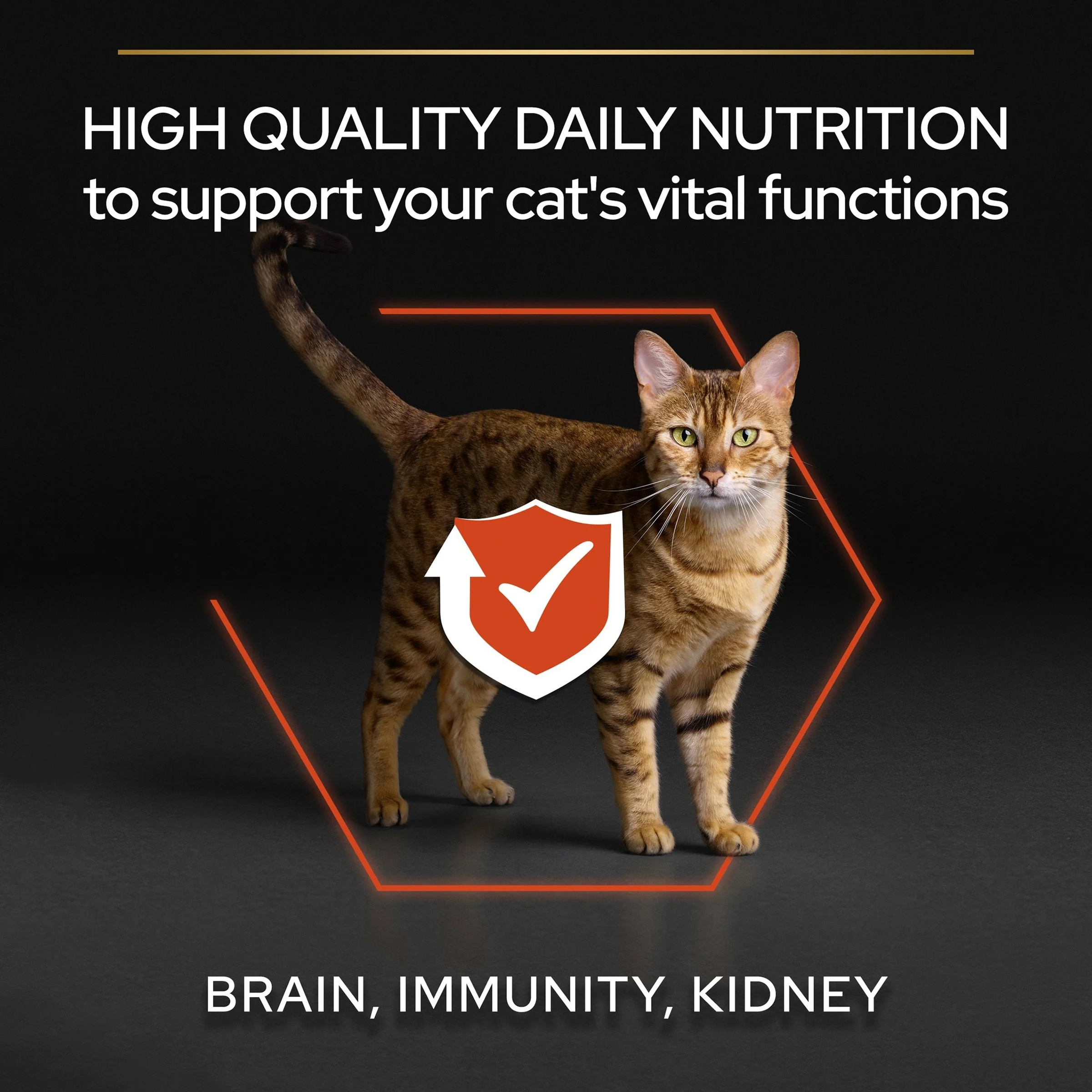 Pro Plan Cat - Adult Vital Functions Salmon & Rice 3kg - Image 4