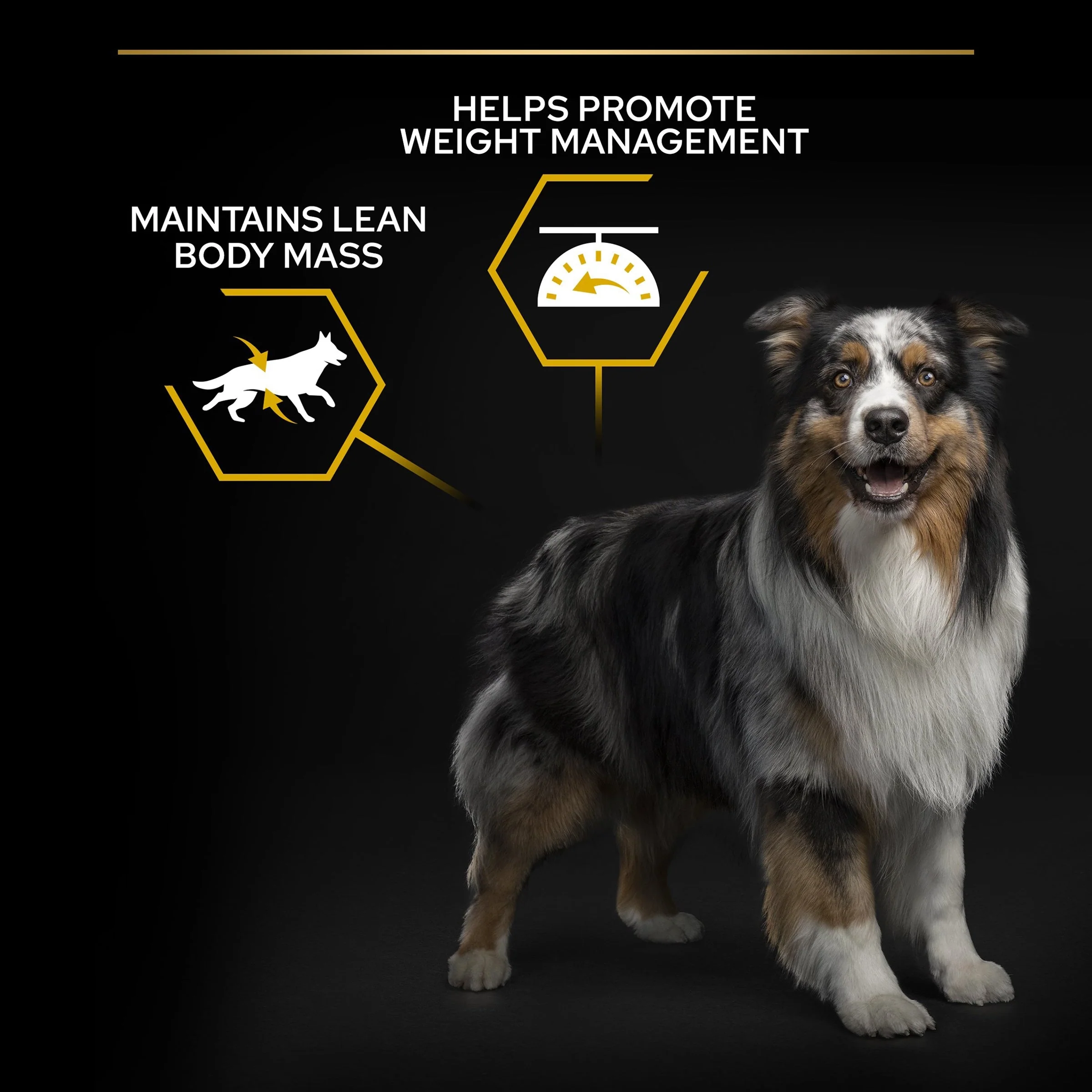 Pro Plan Dog - Adult All Size Light Sterilised Chicken & Rice 14kg - Image 6