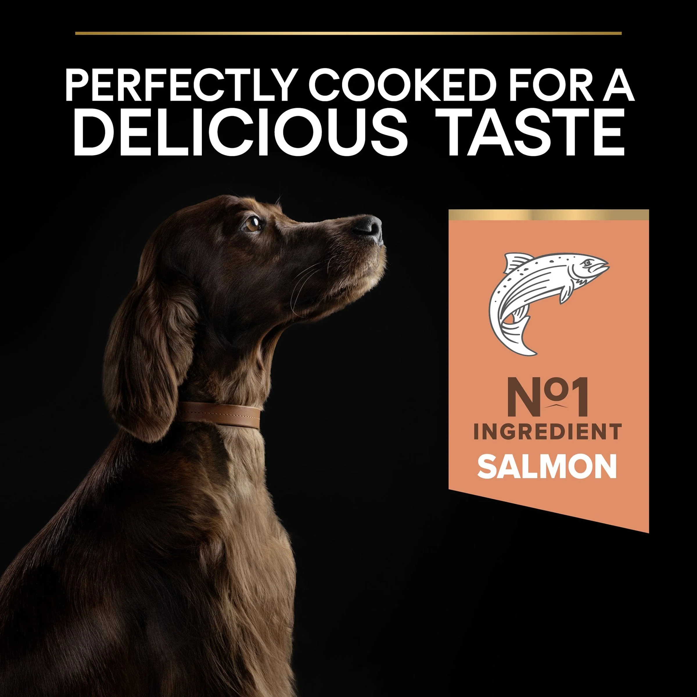 Pro Plan Dog - Adult Large Athletic Sensitive Skin Salmon 14kg - Image 4