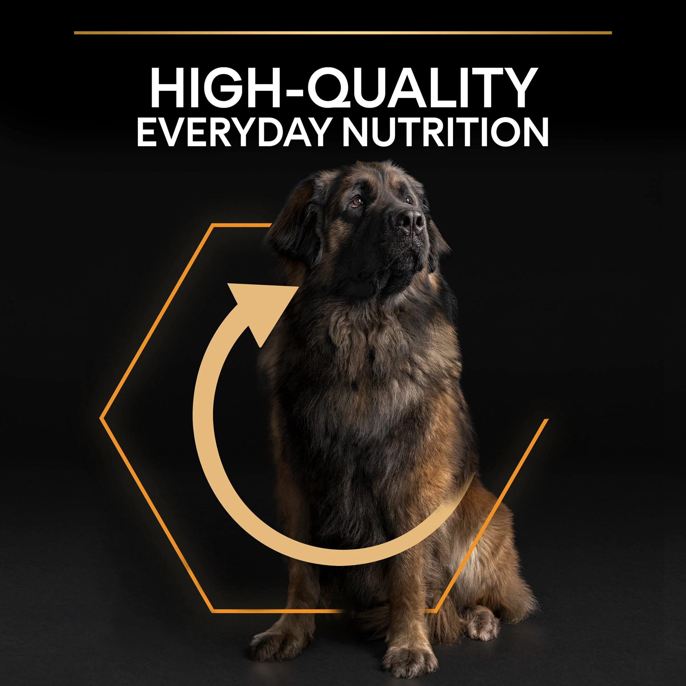 Pro Plan Dog - Adult Large Robust Everyday Nutrition Chicken 14kg - Image 4