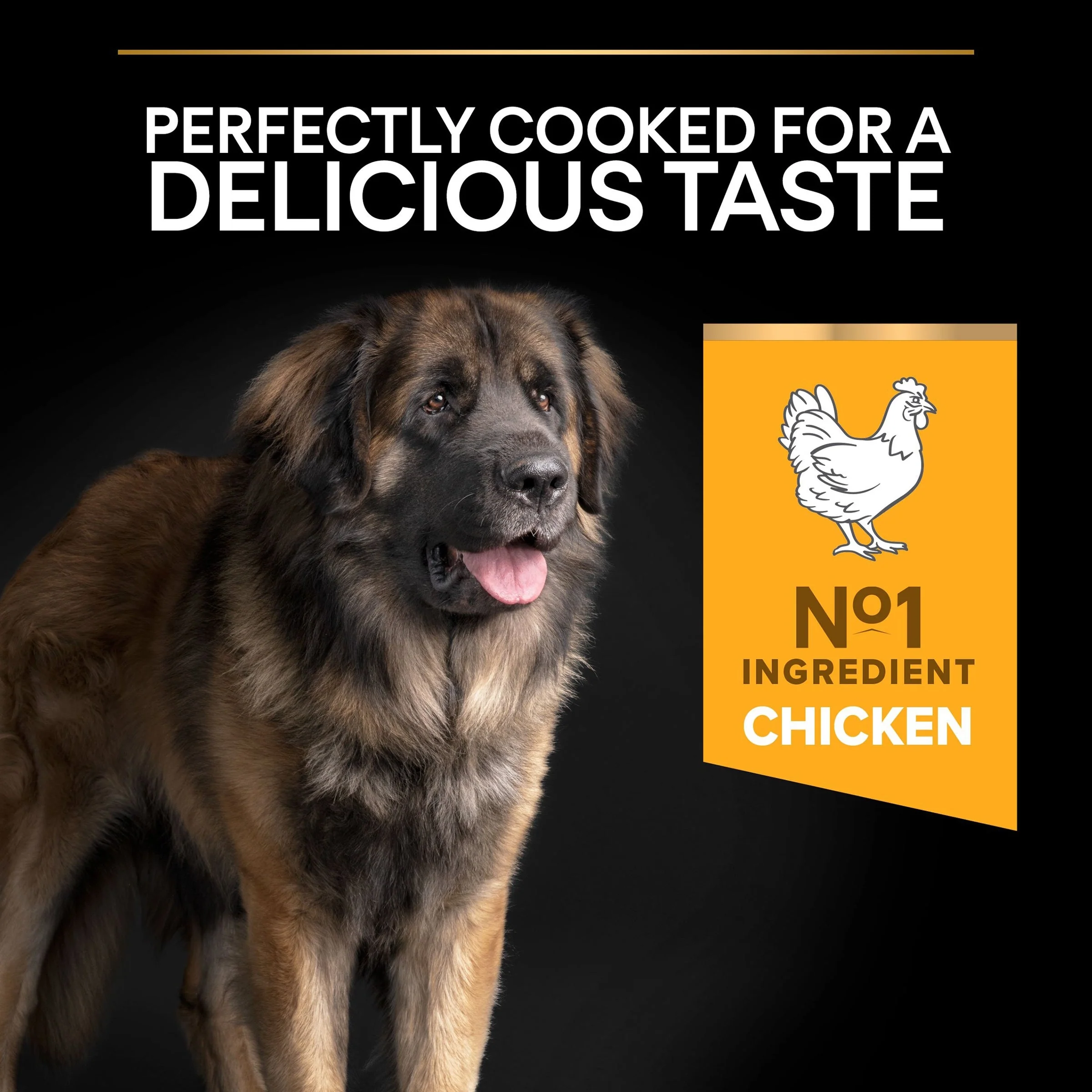 Pro Plan Dog - Adult Large Robust Everyday Nutrition Chicken 14kg - Image 5