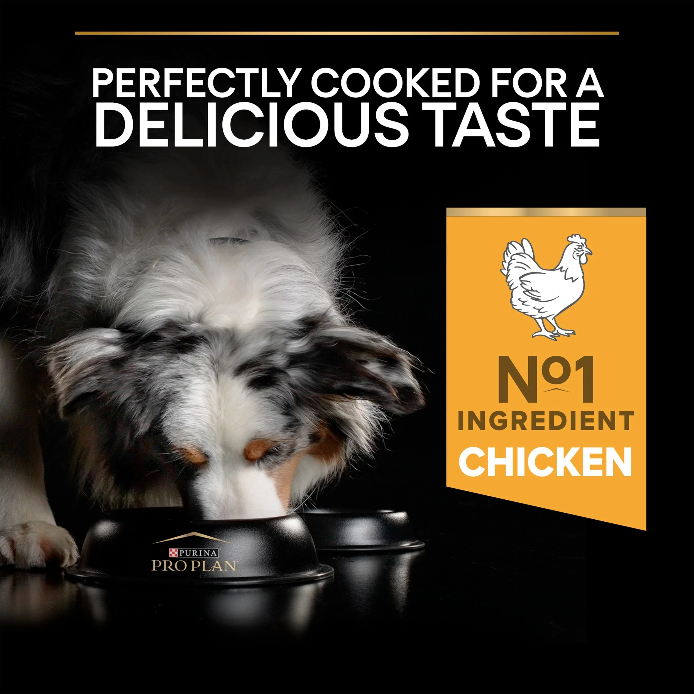 Pro Plan Dog - Adult Medium Everyday Nutrition Chicken & Rice 14kg - Image 5