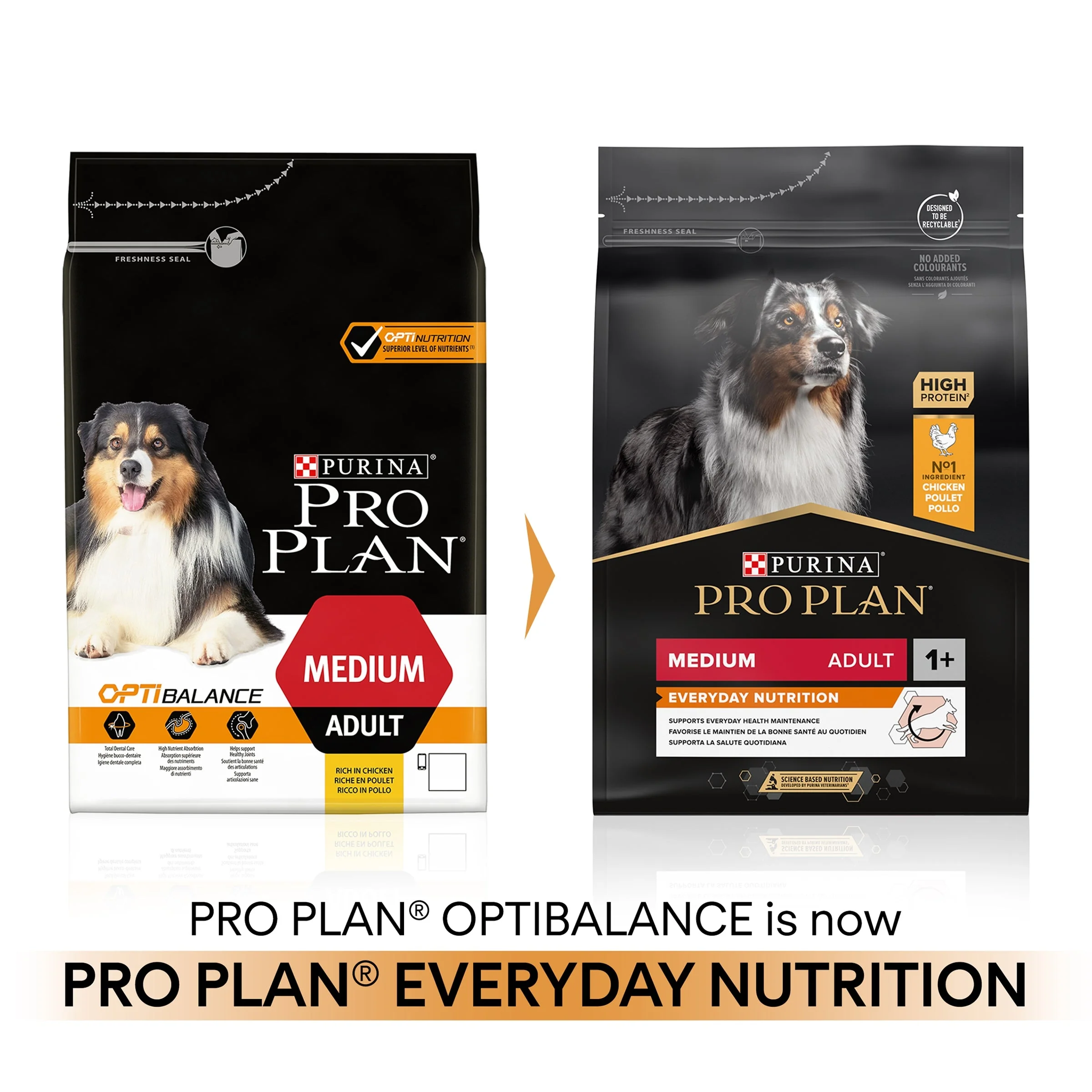 Pro Plan Dog - Adult Medium Everyday Nutrition Chicken & Rice 14kg - Image 9