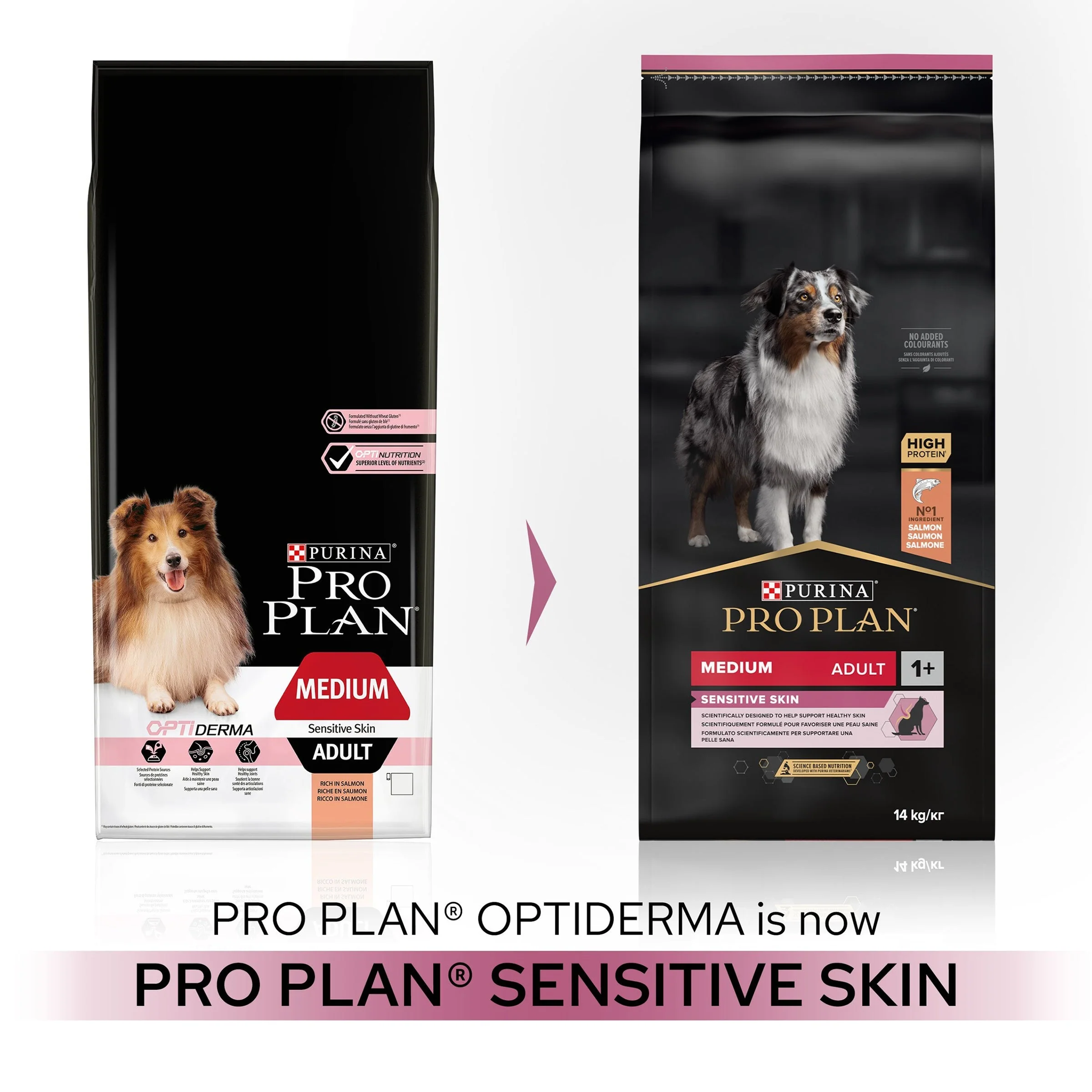 Pro Plan Dog - Adult Medium Sensitive Skin Salmon & Rice 14kg - Image 4