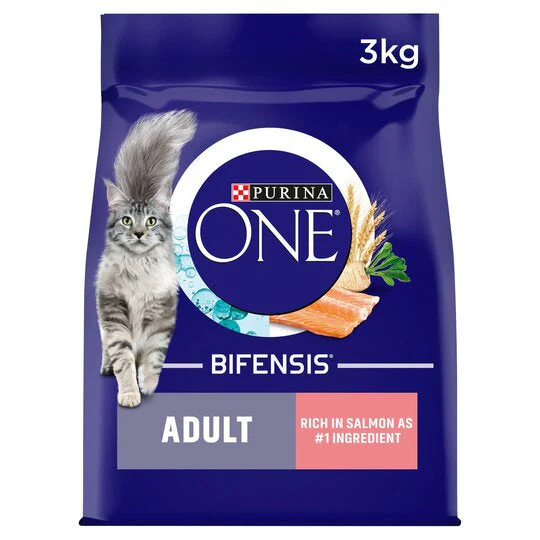 Purina ONE Adult Salmon and Whole Grains Dry Cat Food 3kg