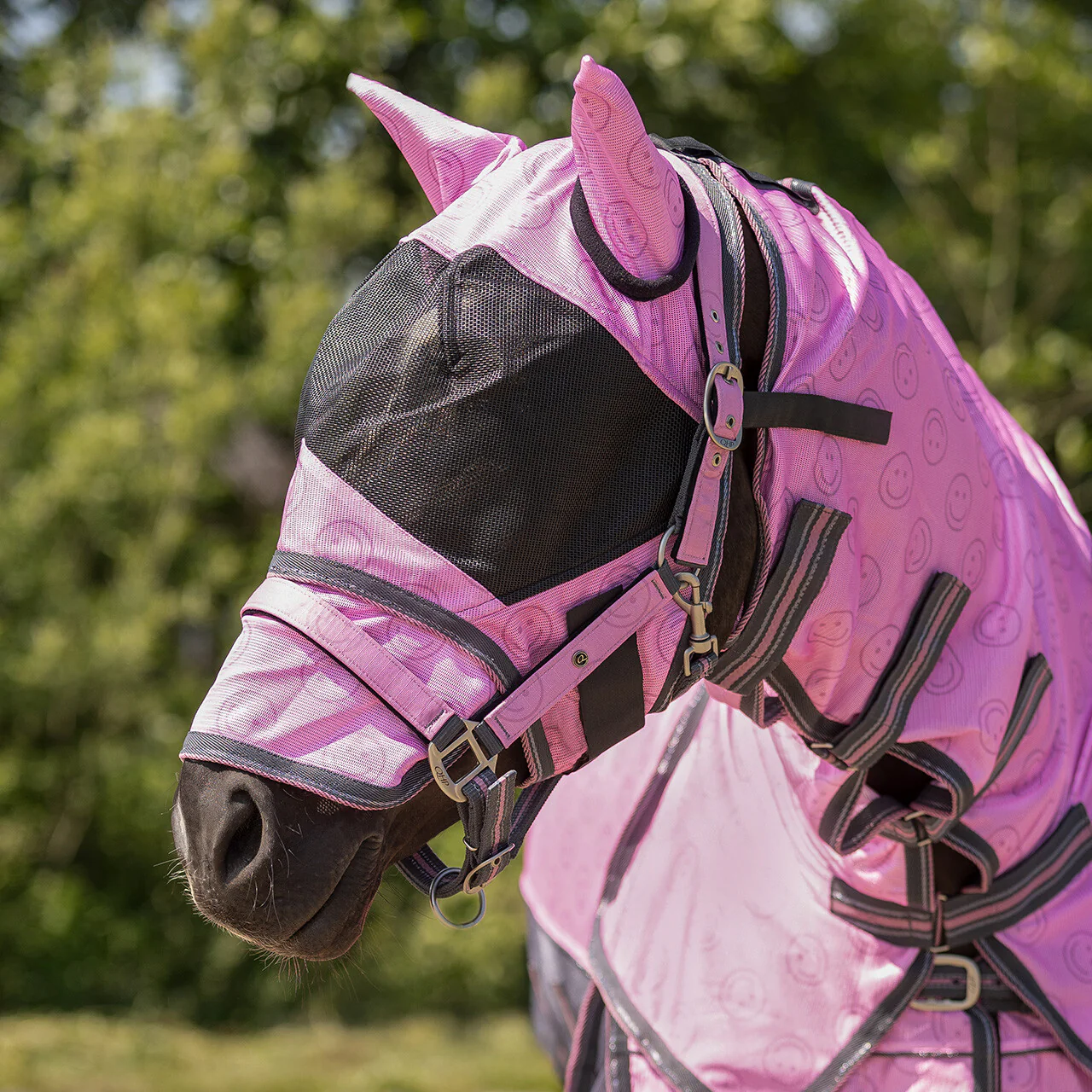 QHP Fly Sheet Collection With Neck And Hood Cheery Pink - Image 2