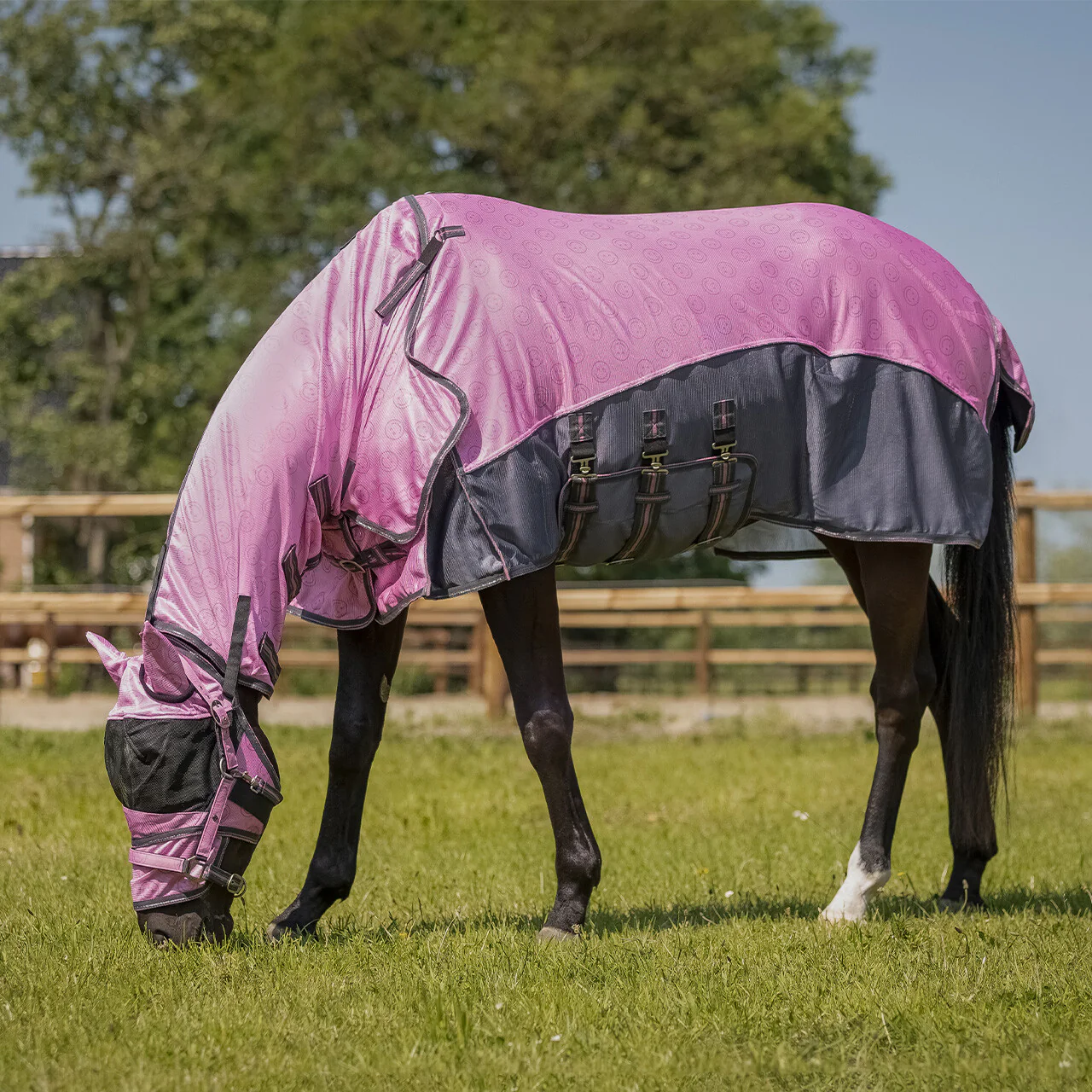 QHP Fly Sheet Collection With Neck And Hood Cheery Pink - Image 3