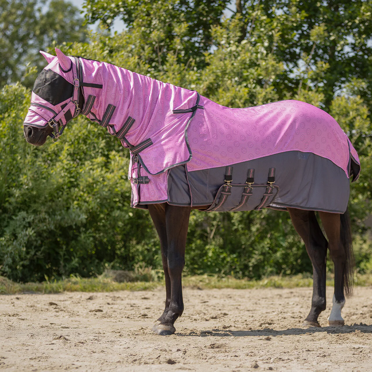 QHP Fly Sheet Collection With Neck And Hood Cheery Pink - Image 4