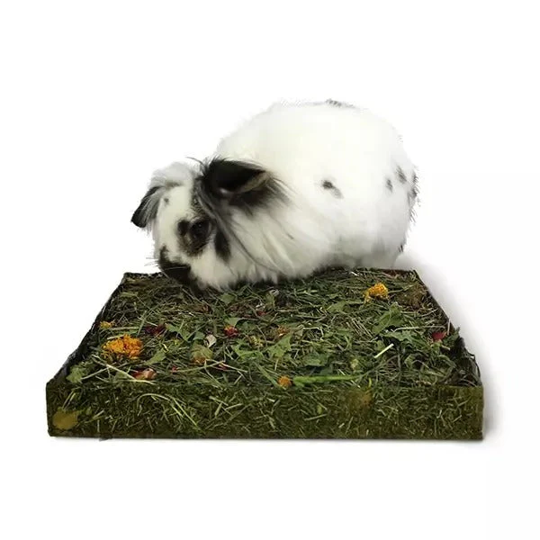Rosewood Nibble 'N' Dig Meadow - Image 2