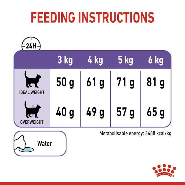 Royal Canin Cat - Appetite Control 2kg - Image 2