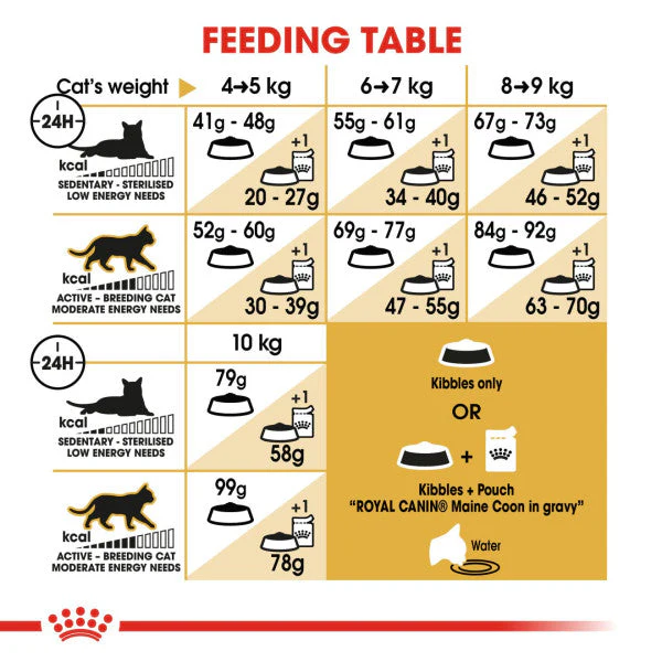 Royal Canin Cat - Maine Coon 400g - Image 2