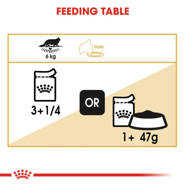 Royal Canin Cat - Pouch Box Maine Coon 12x85g - Image 2