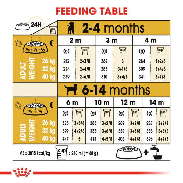 Royal Canin Dog - Labrador Retriever Puppy 12kg - Image 2