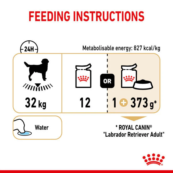 Royal Canin Dog - Pouch Box Labrador Retriever 10x140g - Image 2