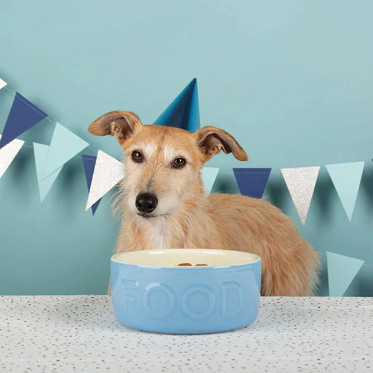 Scruffs Classic Food Bowl 19cm Blue - Image 2