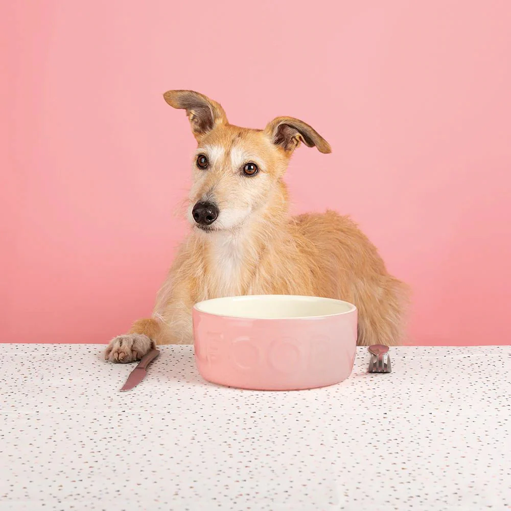 Scruffs Classic Food Bowl 19cm Pink - Image 2