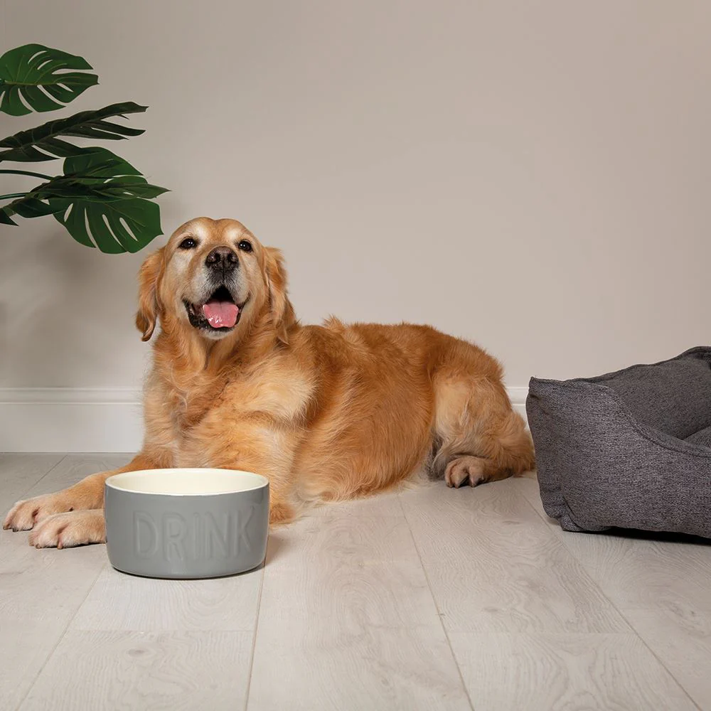 Scruffs Classic Water Bowl 20cm Grey - Image 2
