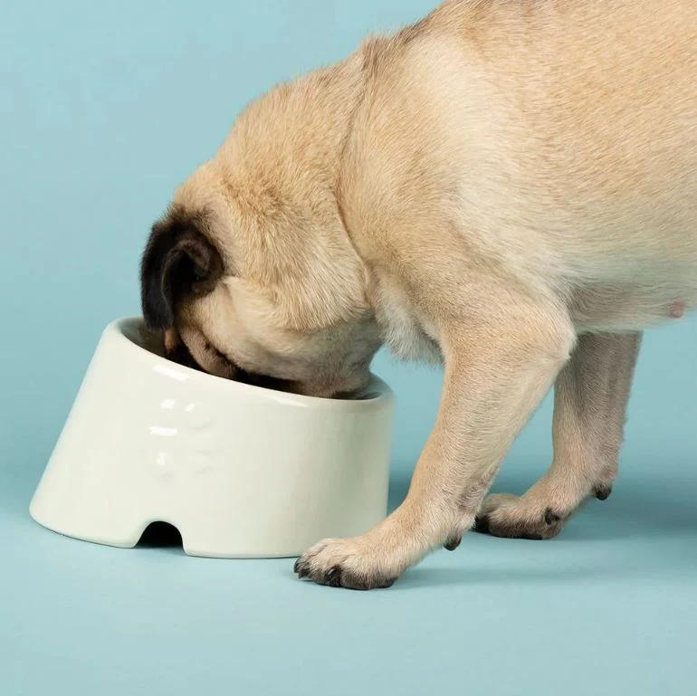 Scruffs Icon Flat Faced Pet Bowl 18cm Cream - Image 2