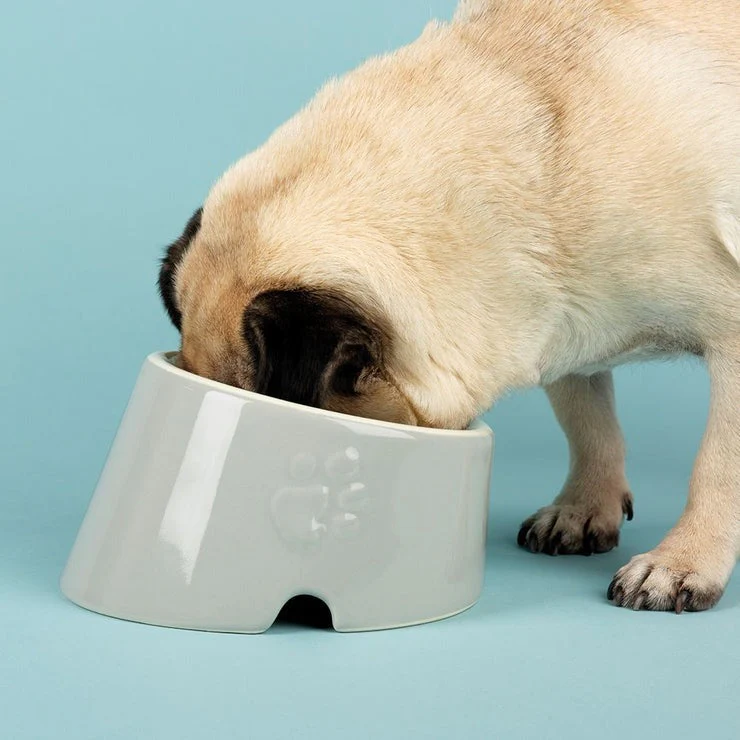 Scruffs Icon Flat Faced Pet Bowl 18cm Light Grey - Image 2