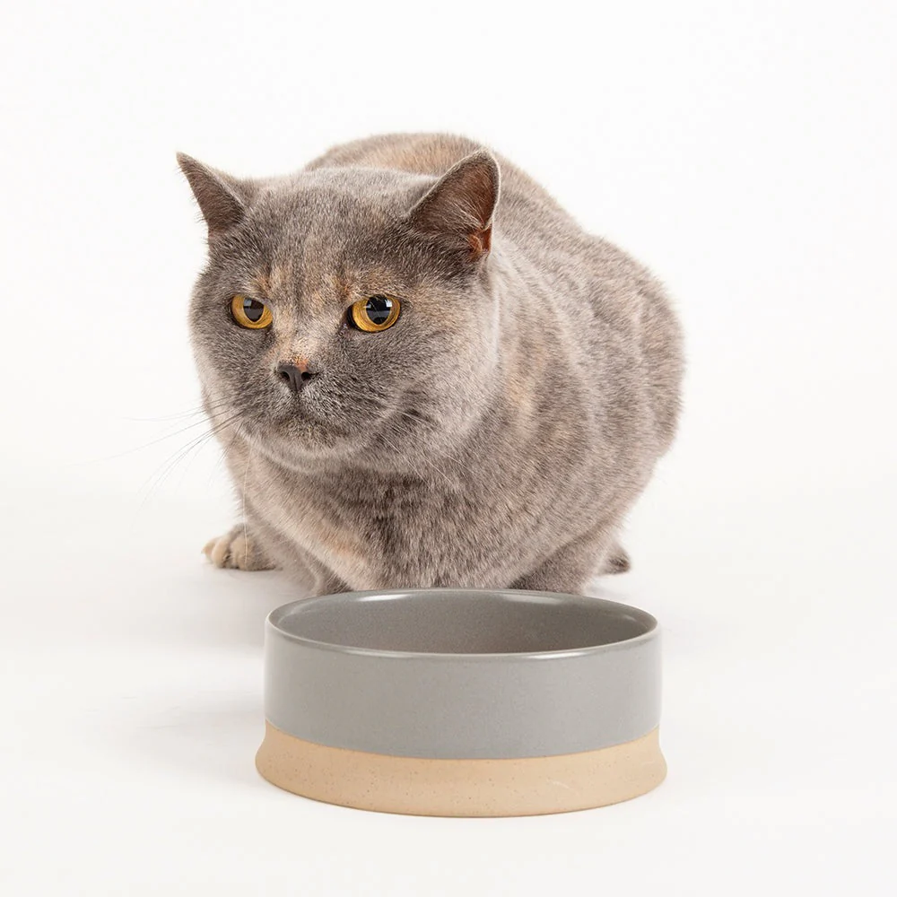 Scruffs Scandi Bowl 14cm Grey - Image 2