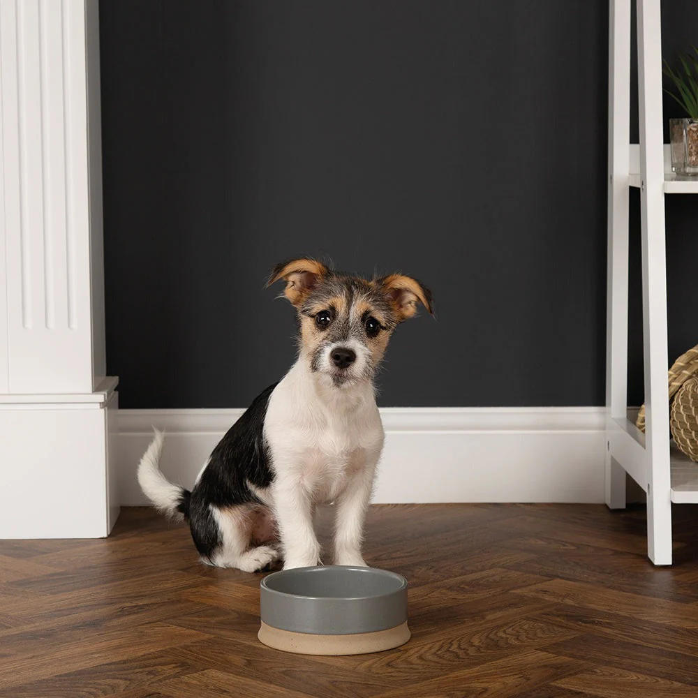 Scruffs Scandi Bowl 16cm Grey - Image 2