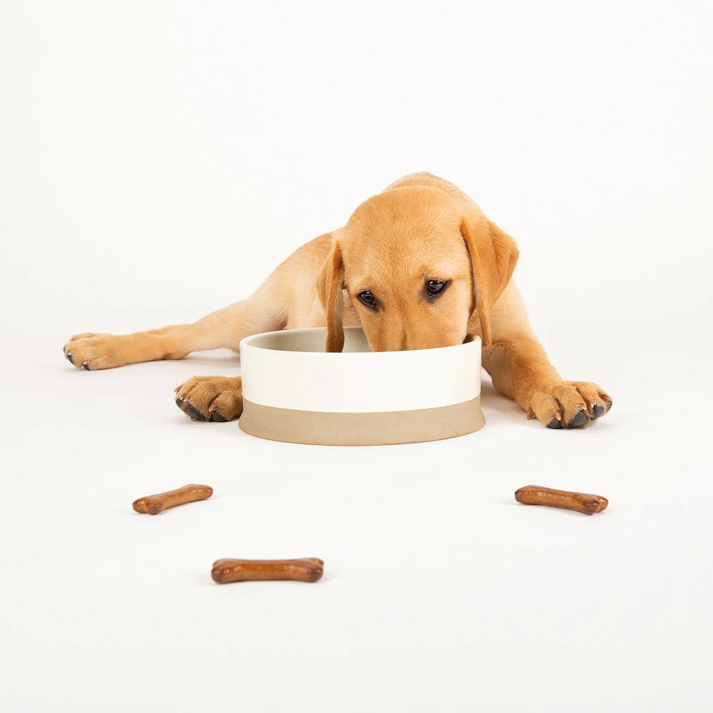 Scruffs Scandi Bowl 20cm Cream - Image 2