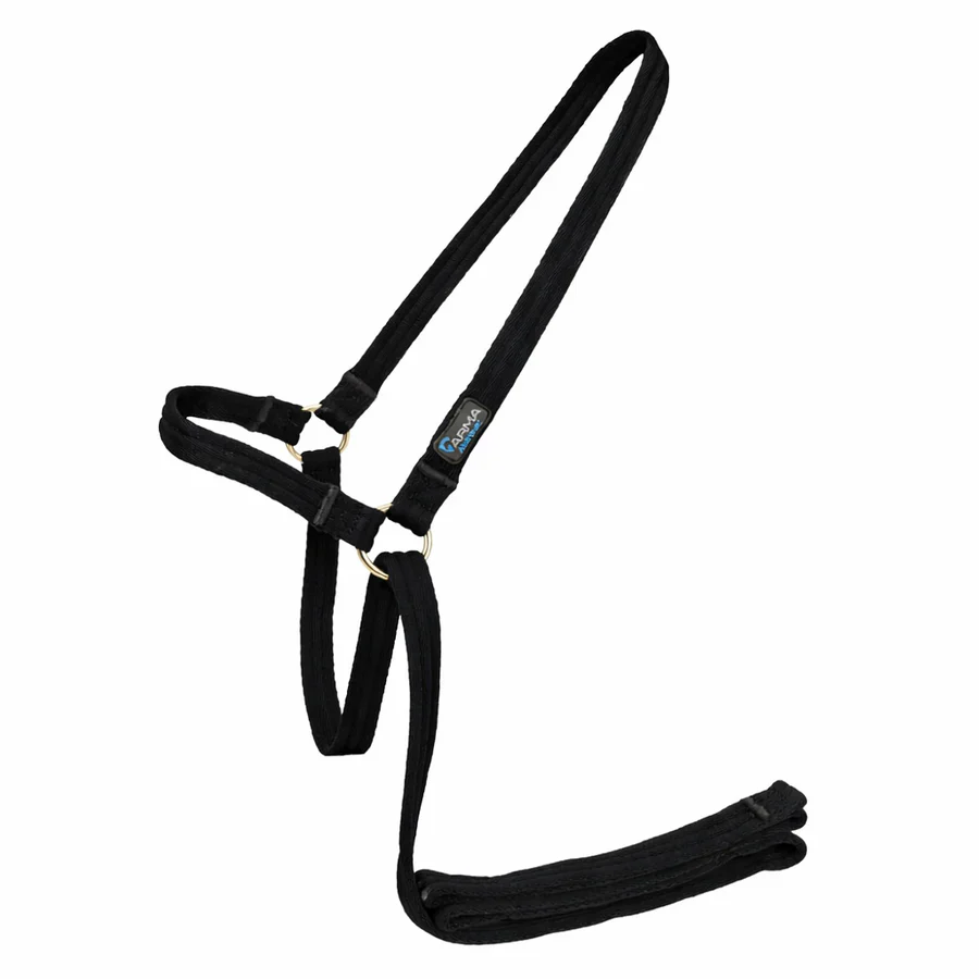 Shires ARMA Cushion Web Halter & Lead - Image 2