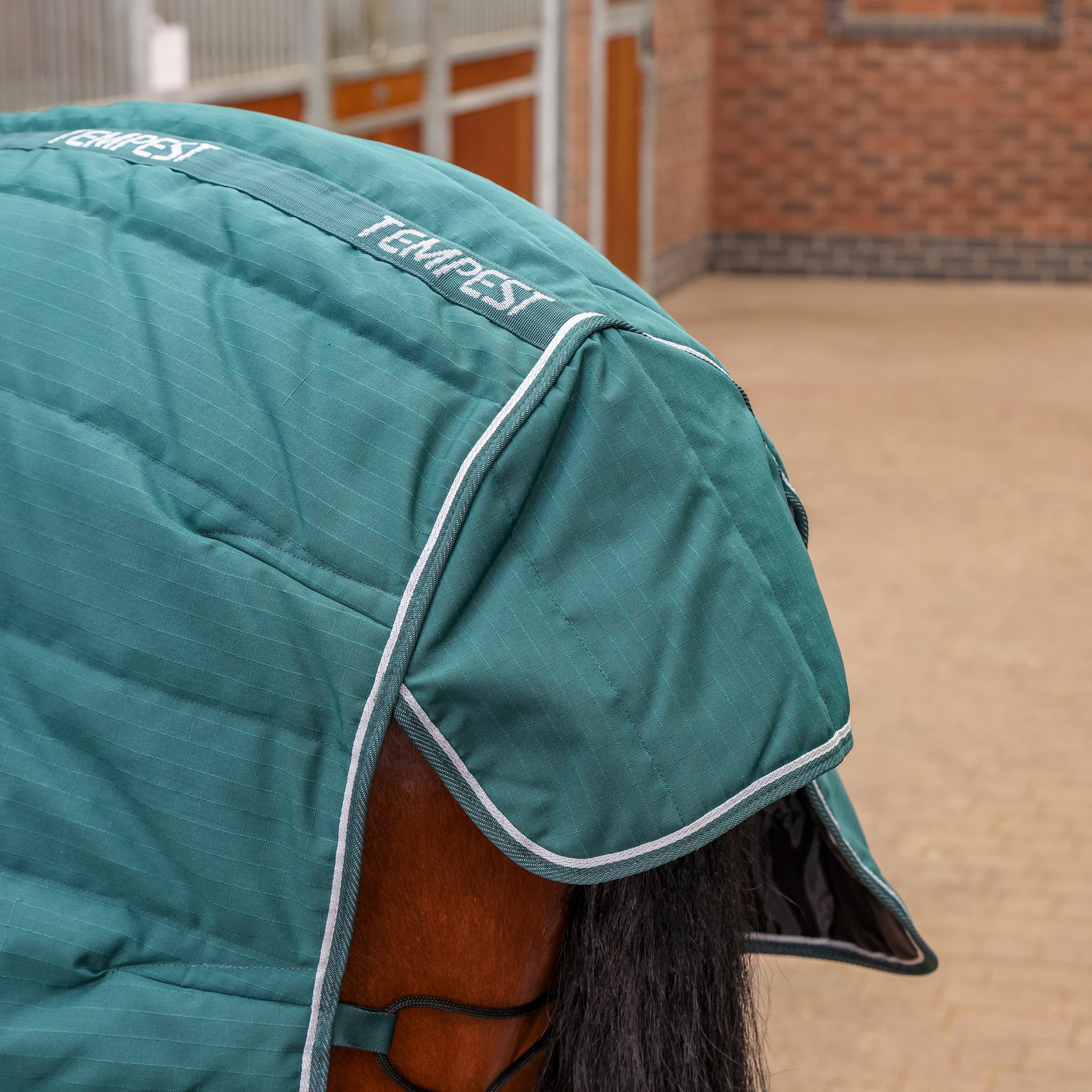 Shires Tempest Original 200g Combo Stable Rug Emerald - Image 2