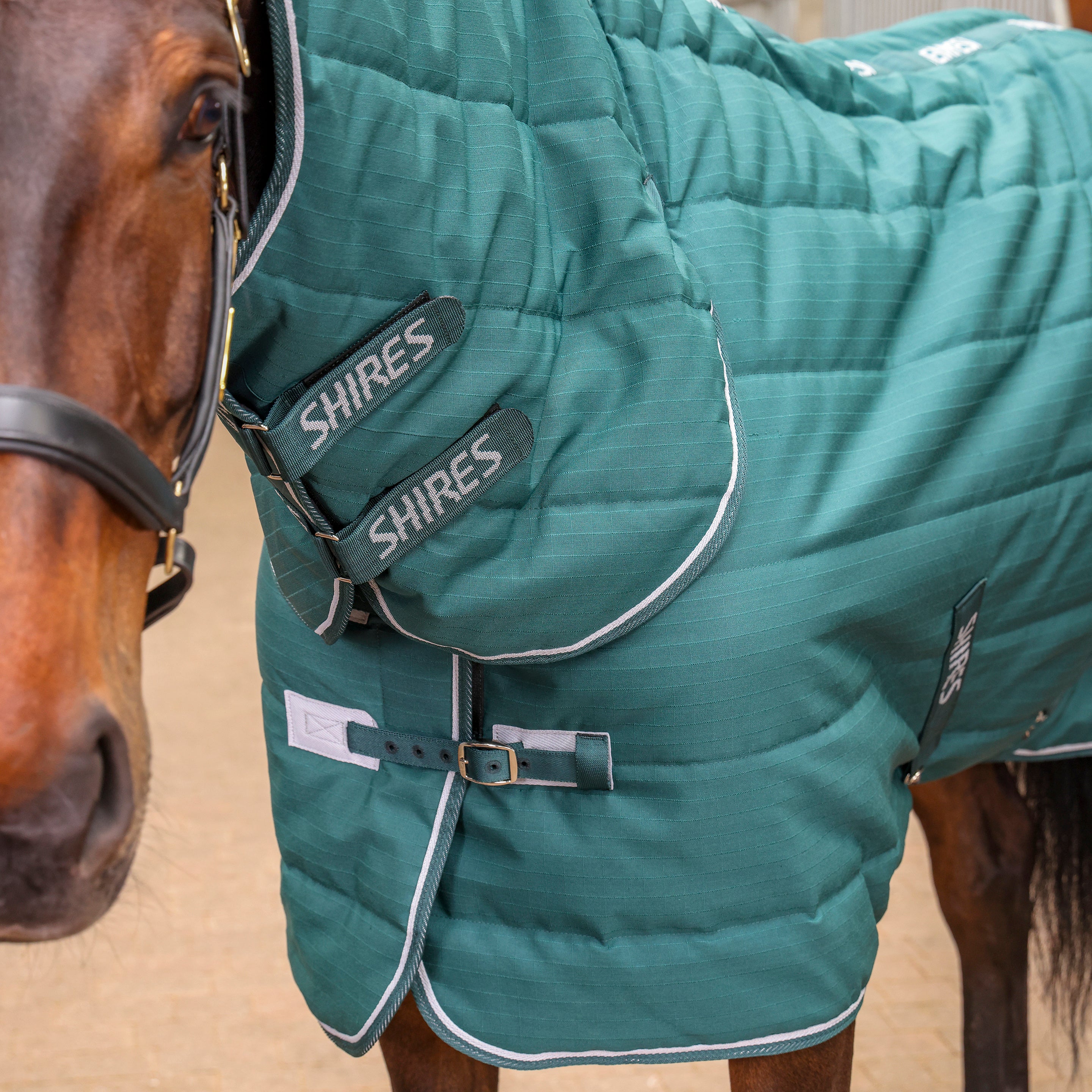 Shires Tempest Original 200g Combo Stable Rug Emerald - Image 3