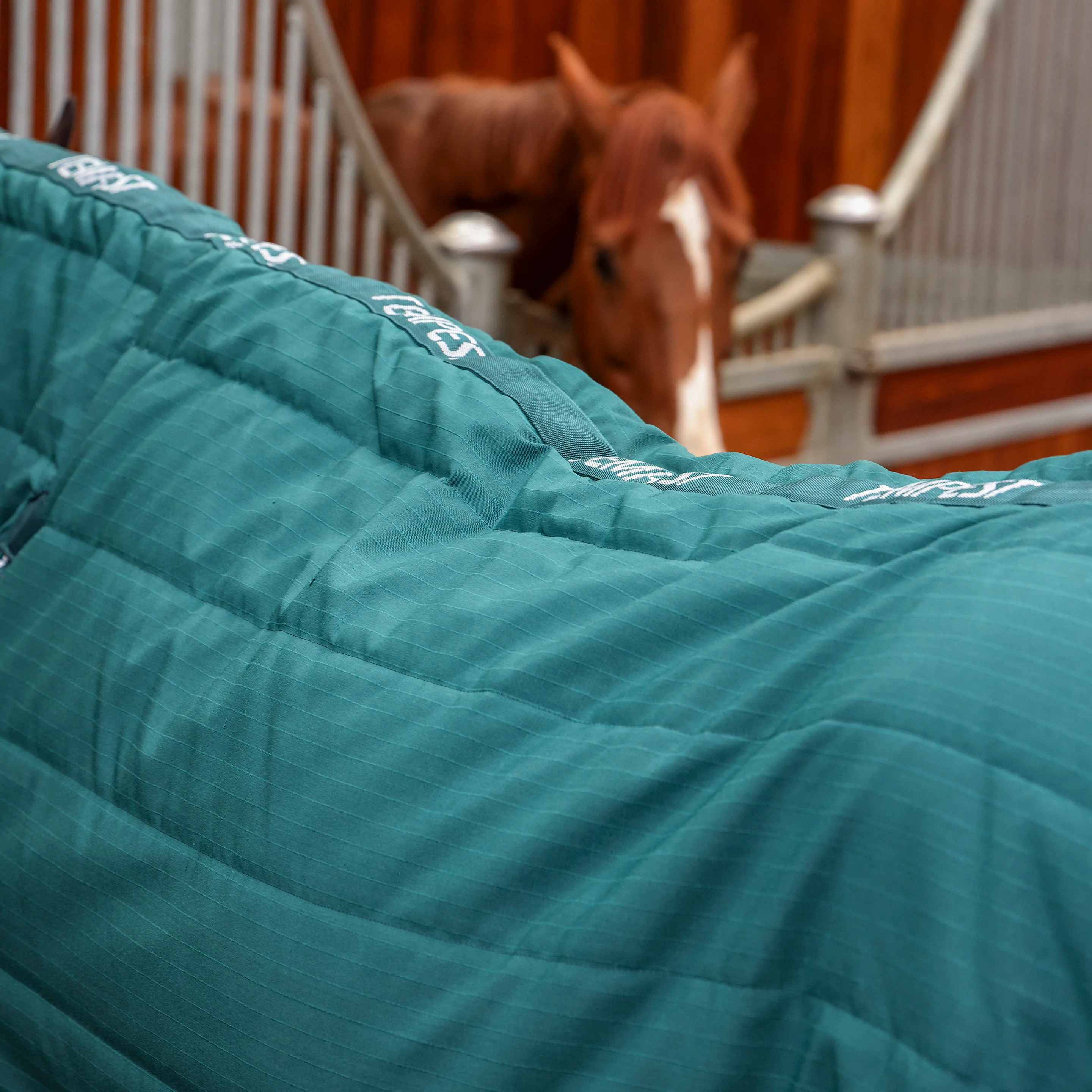 Shires Tempest Original 200g Combo Stable Rug Emerald - Image 4