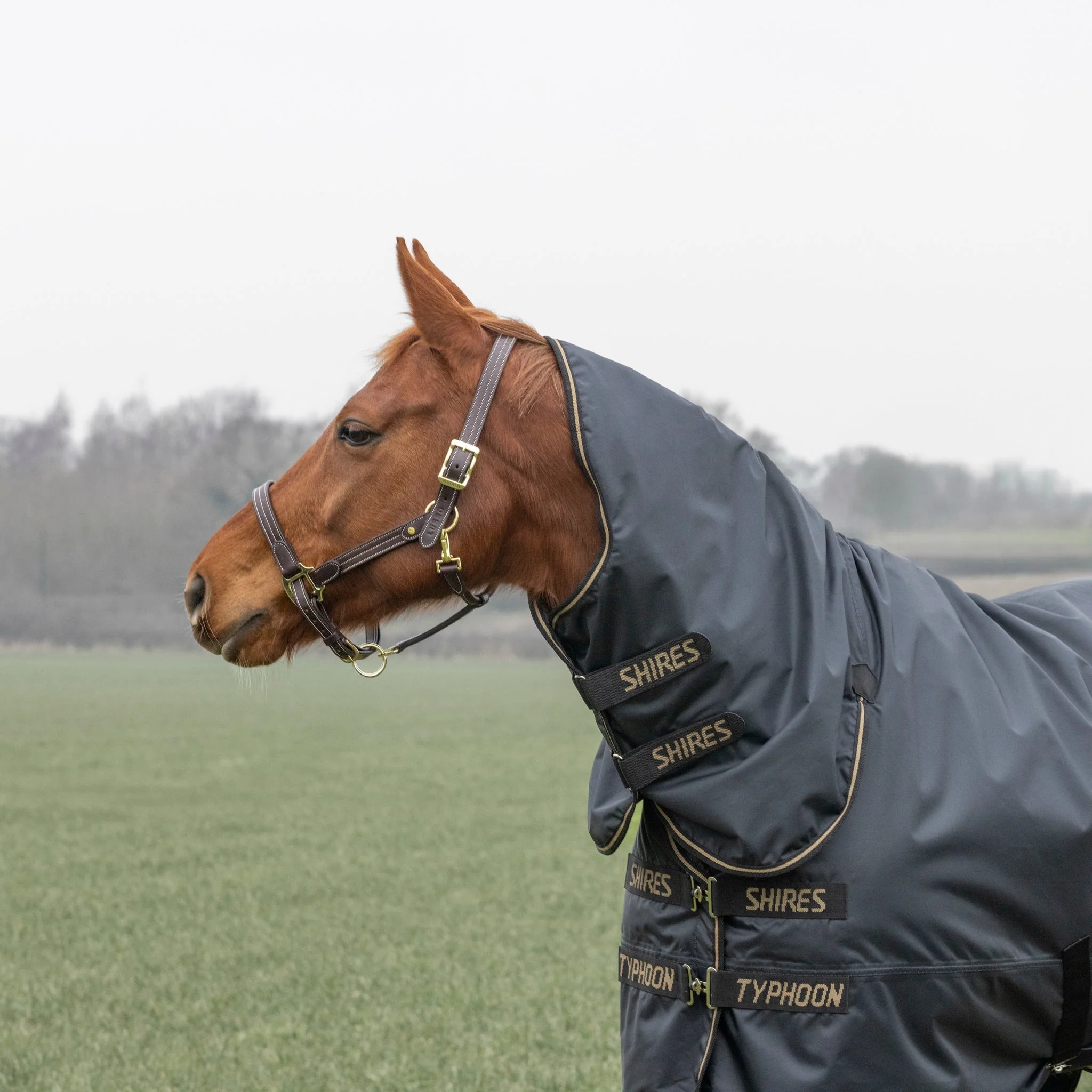 Shires Typhoon 50g Combo Turnout Rug Black - Image 2