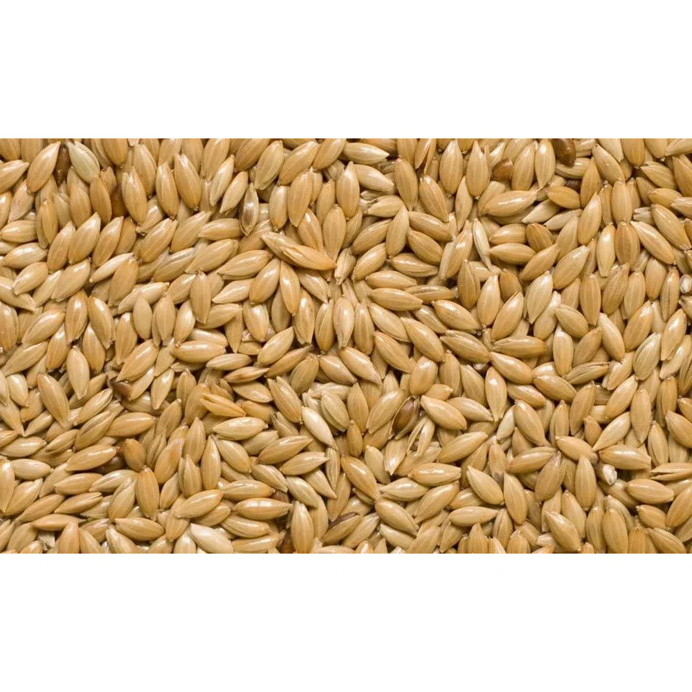 SkyGold Canary Seed 20kg - Image 2