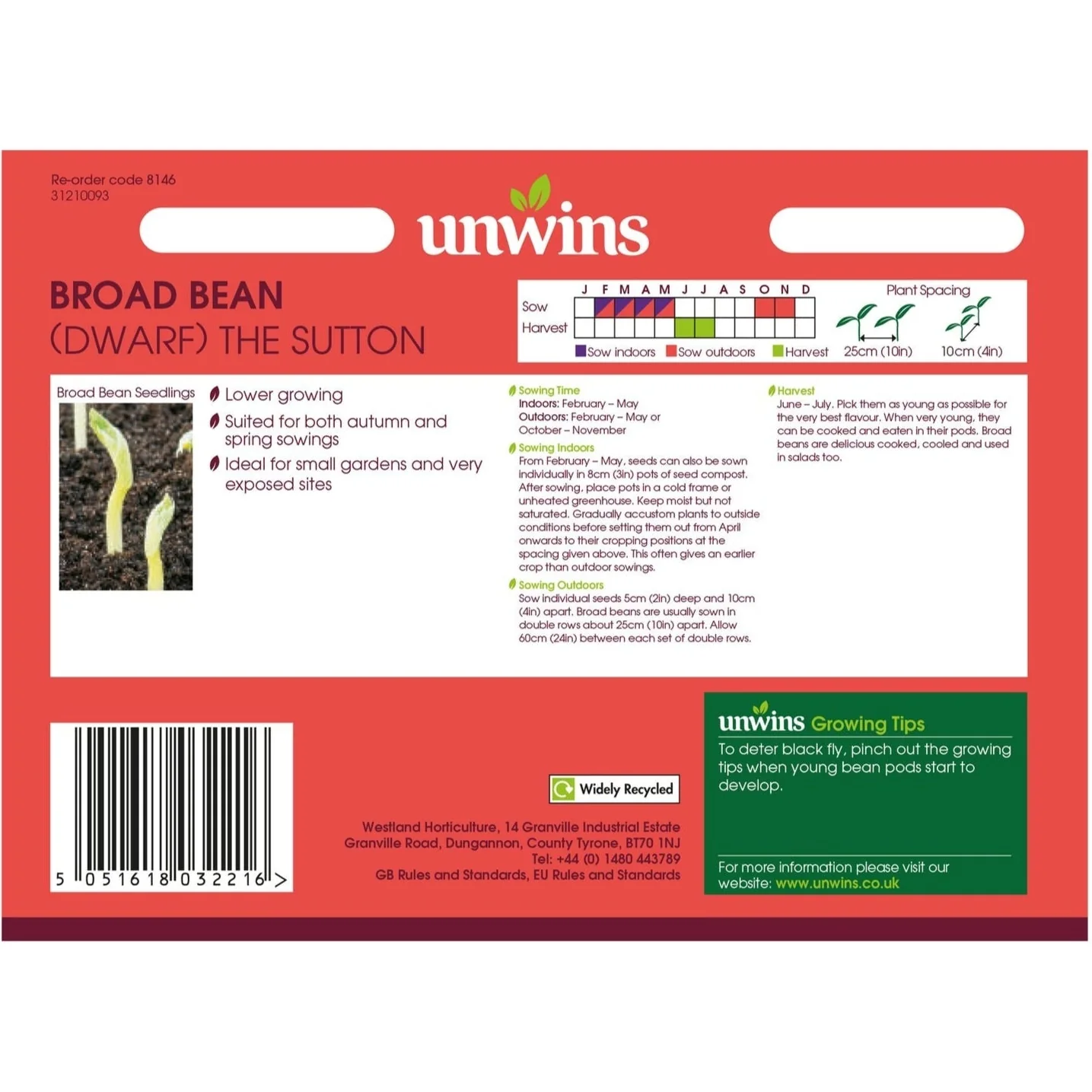 Unwins Broad Bean The Sutton (Dwarf) - Image 2