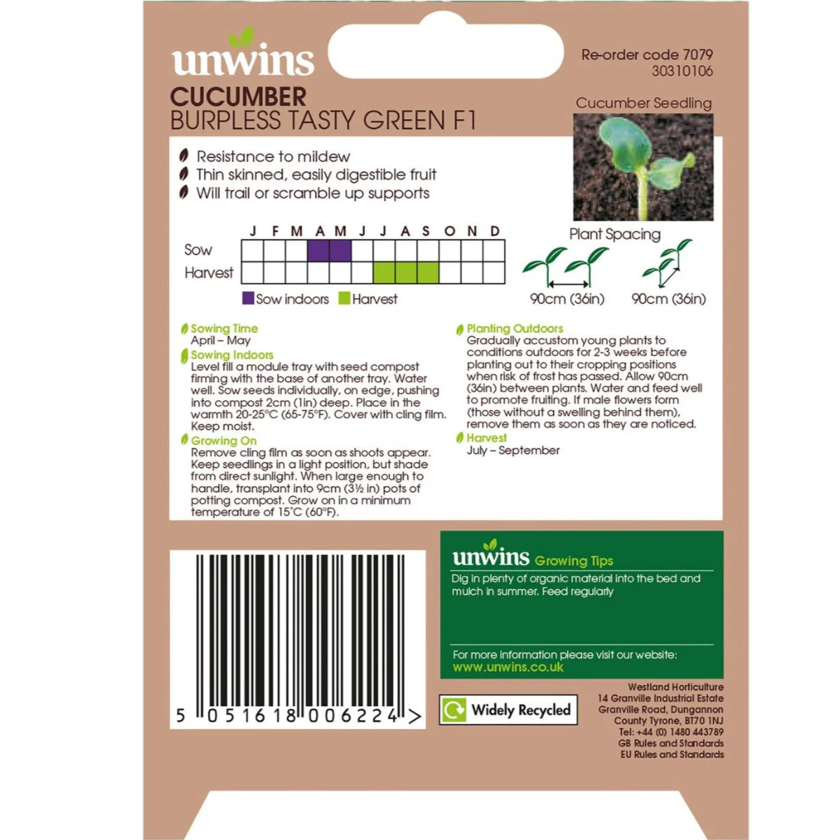 Unwins Cucumber Burpless F1 - Image 2