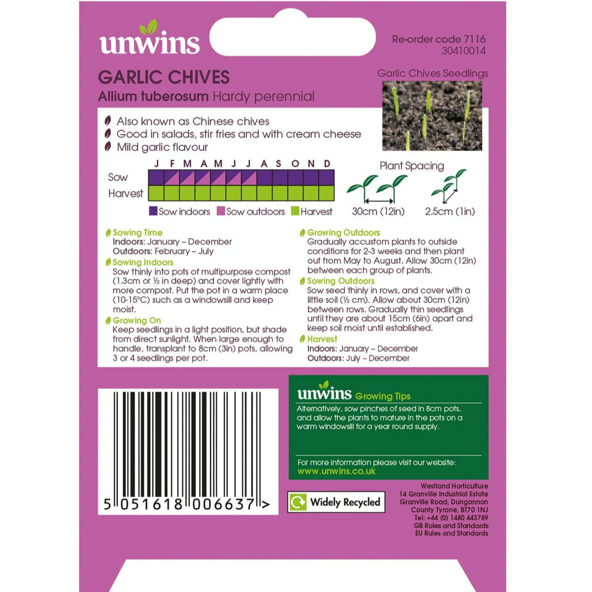 Unwins Herb Garlic Chives - Image 2