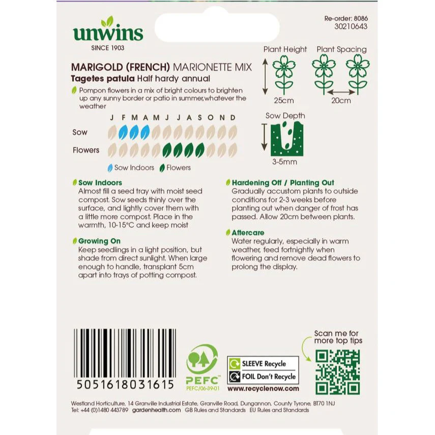 Unwins Marigold (French) Marionette Mix - Image 2