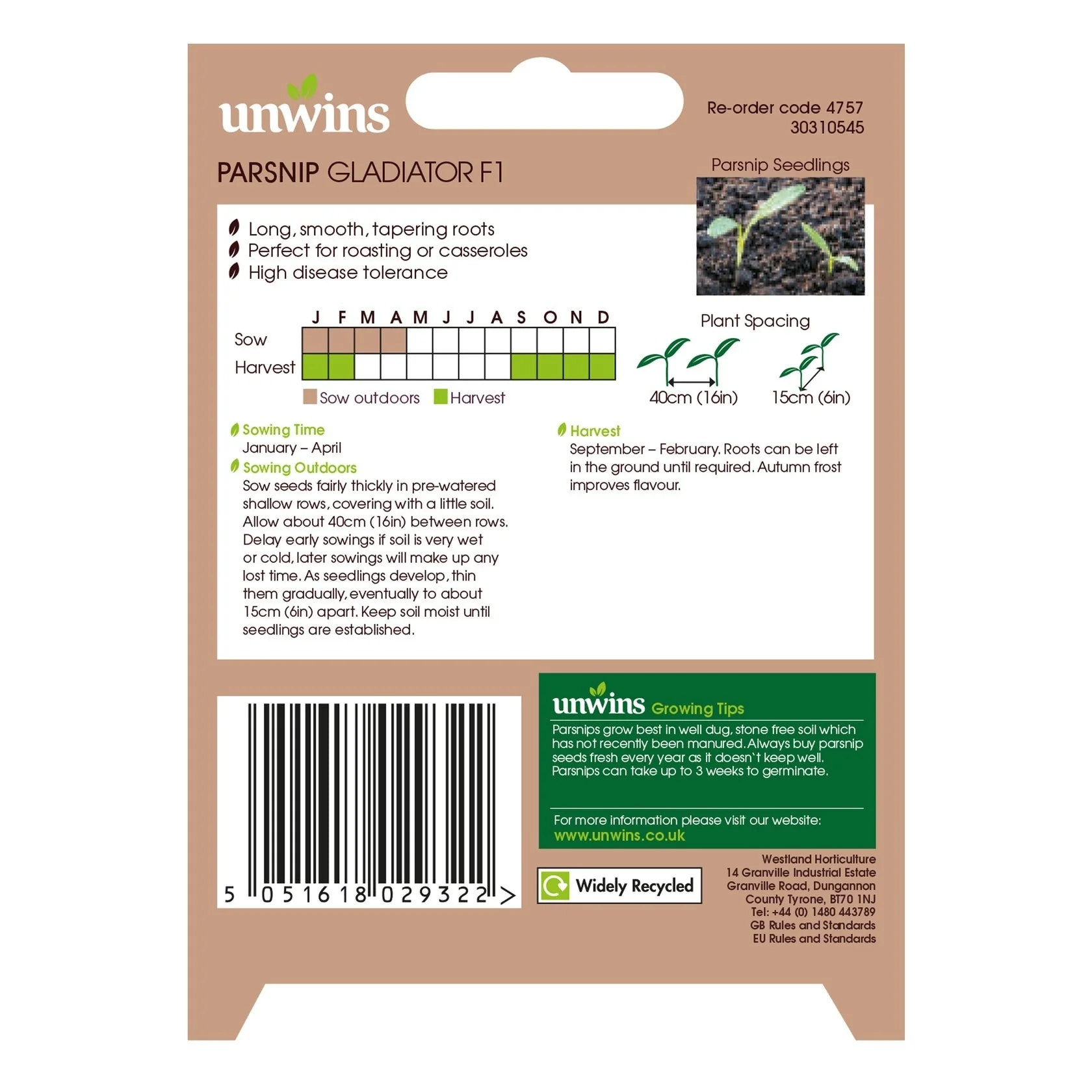 Unwins Parsnip Gladiator F1 - Image 2