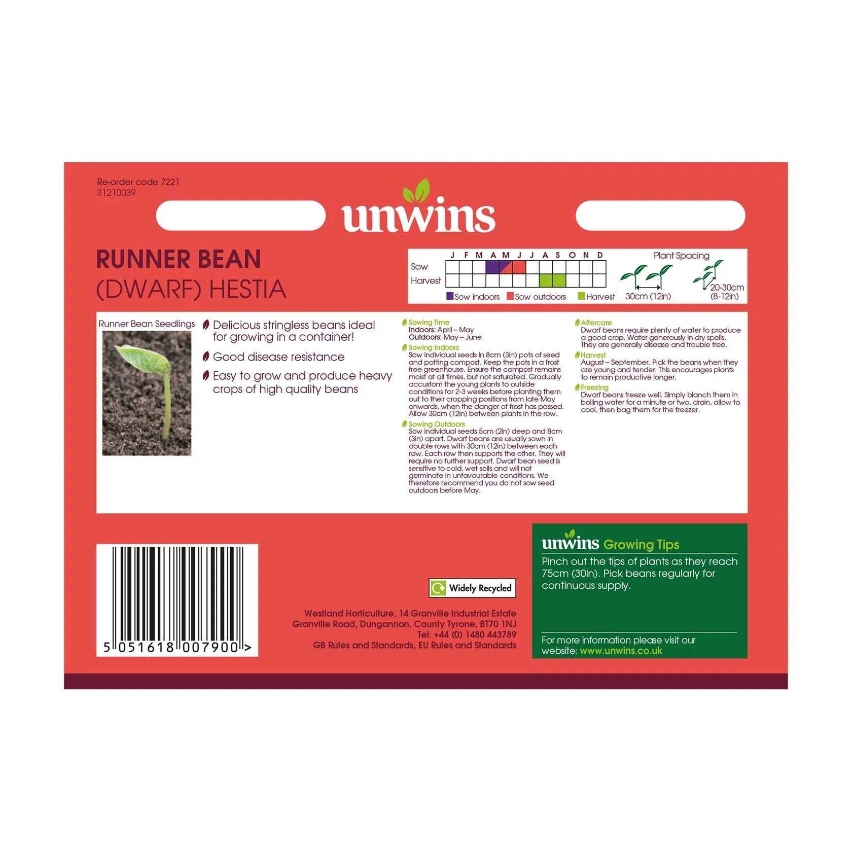 Unwins Runner Bean Hestia (Dwarf) - Image 2