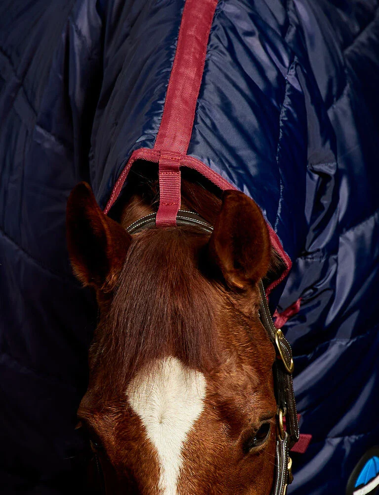 Weatherbeeta Comfitec 210D Channel Quilt Stable Combo 100g Navy / Burgundy - Image 2