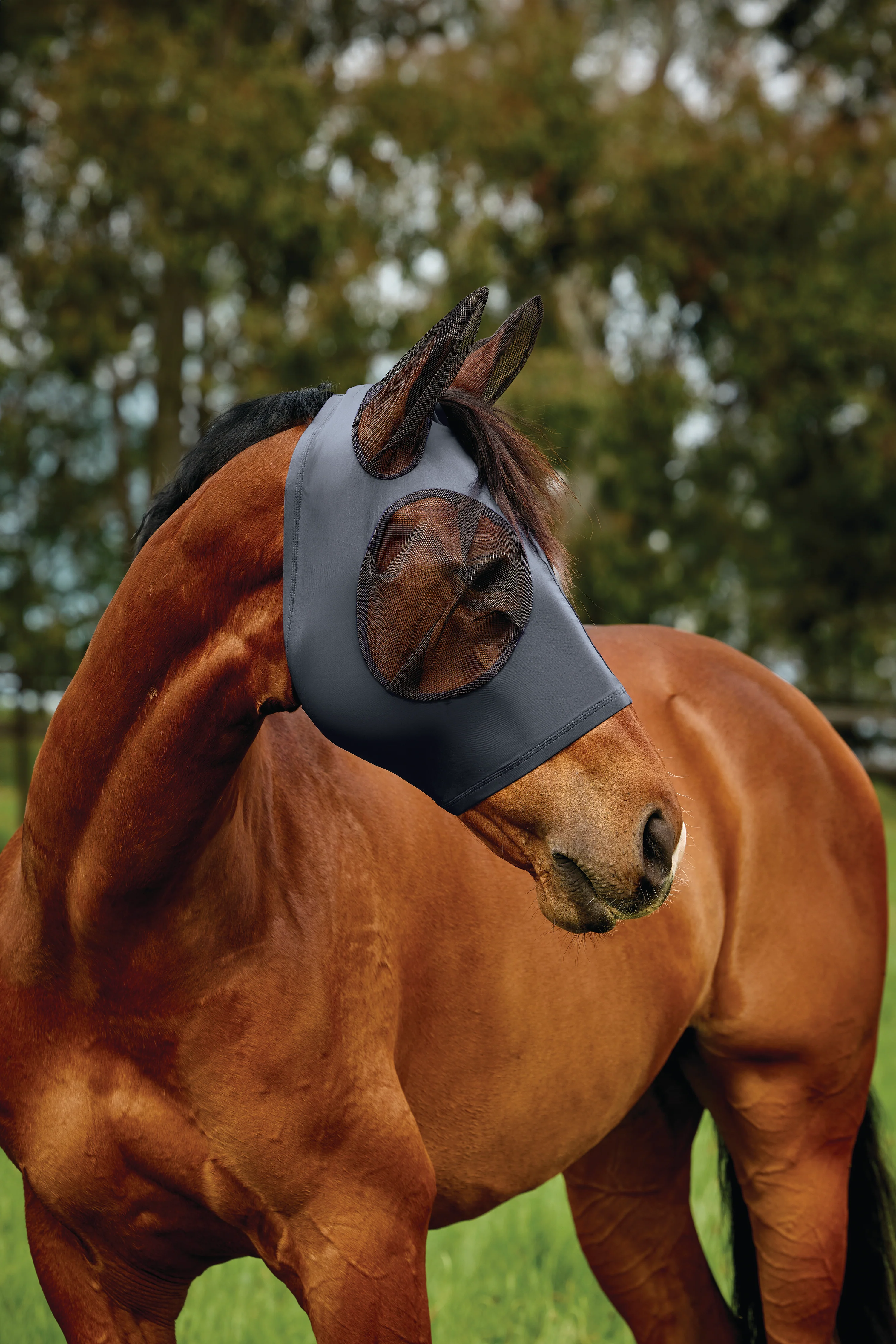 Weatherbeeta Comfitec Deluxe Stretch Fly Mask With Ears Charcoal/Black - Image 2