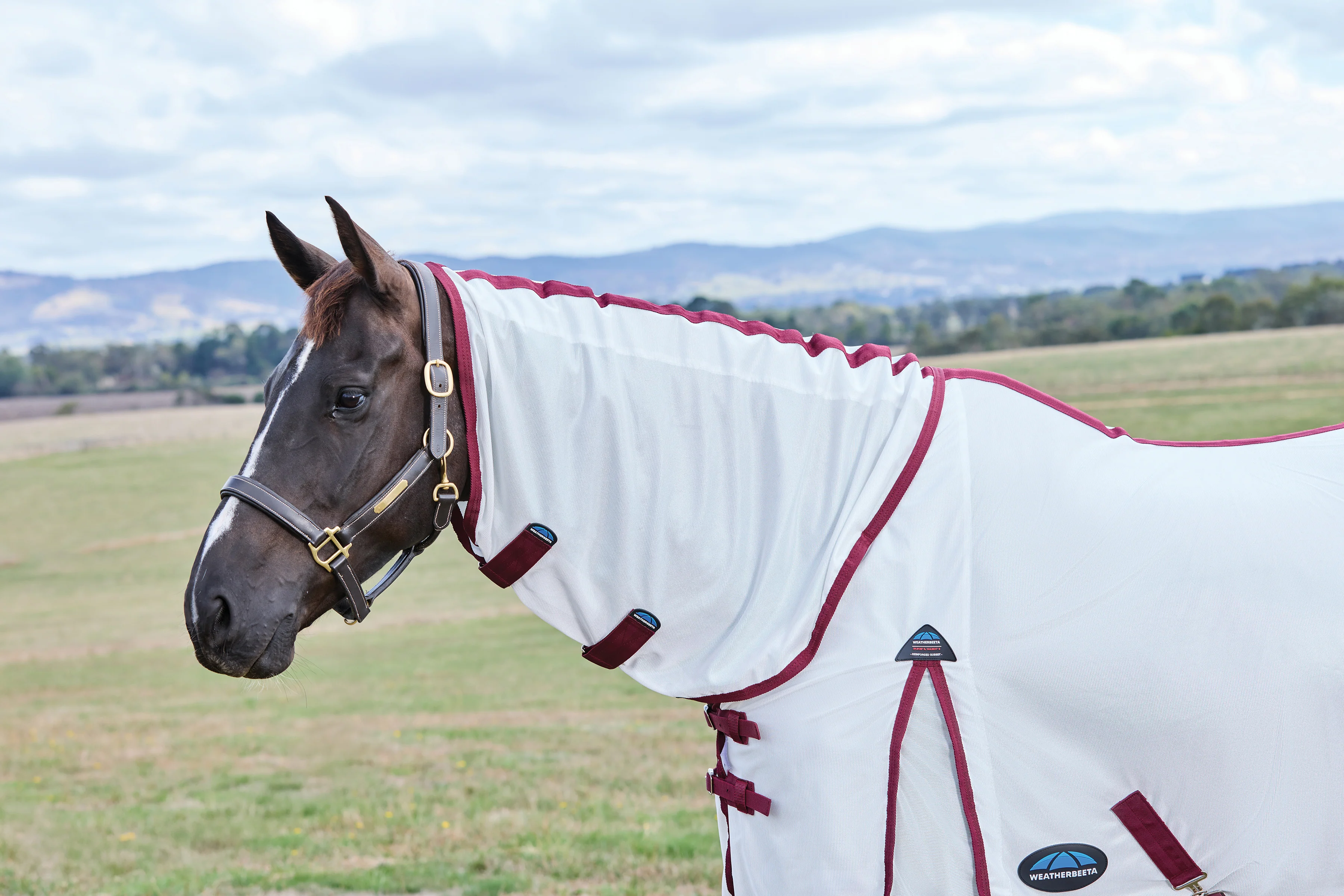 Weatherbeeta Comfitec Essential Fly Sheet Combo White/Burgundy - Image 4