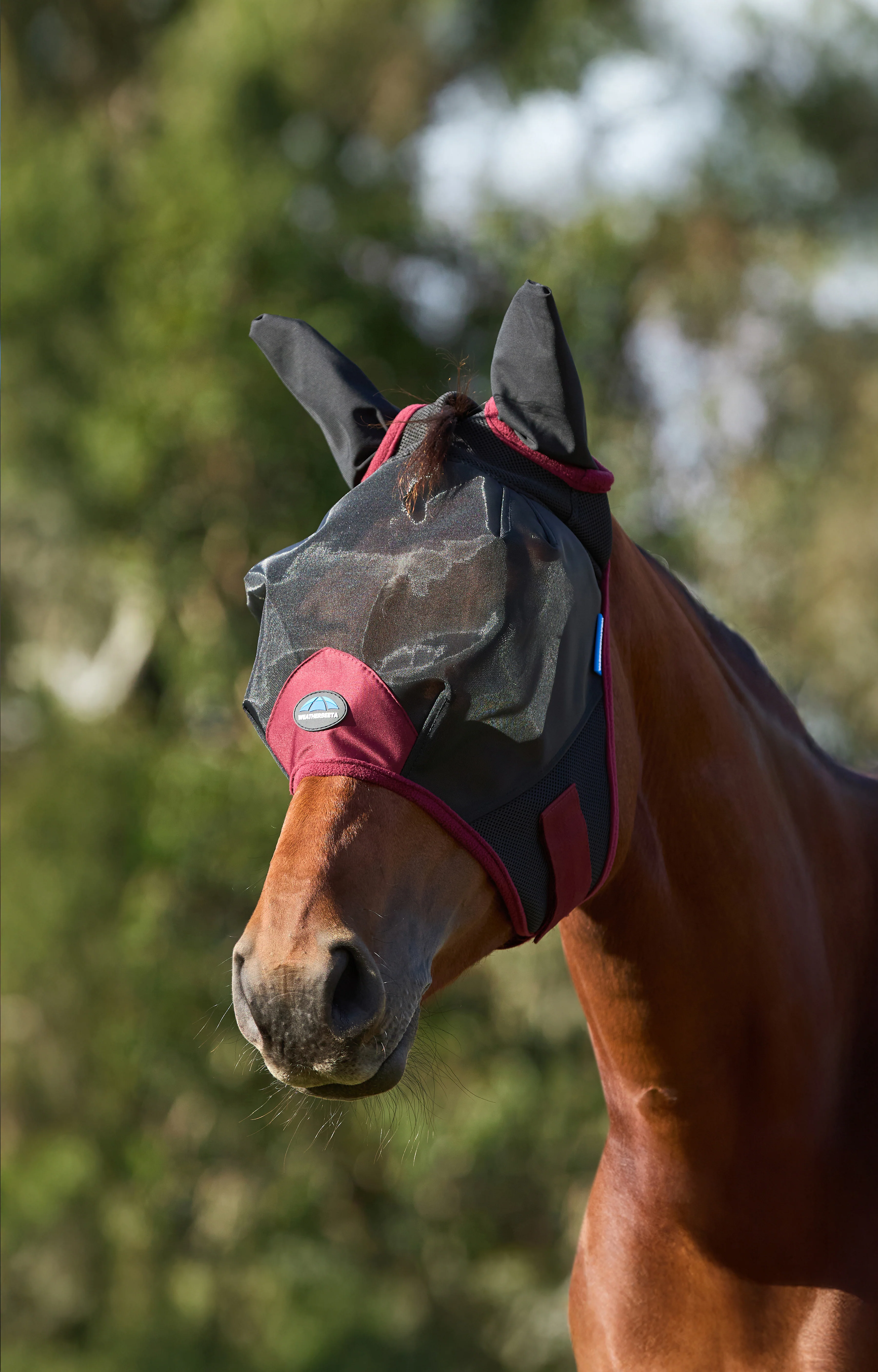 Weatherbeeta Comfitec Fine Mesh Fly Mask With Ears Black/Burgundy