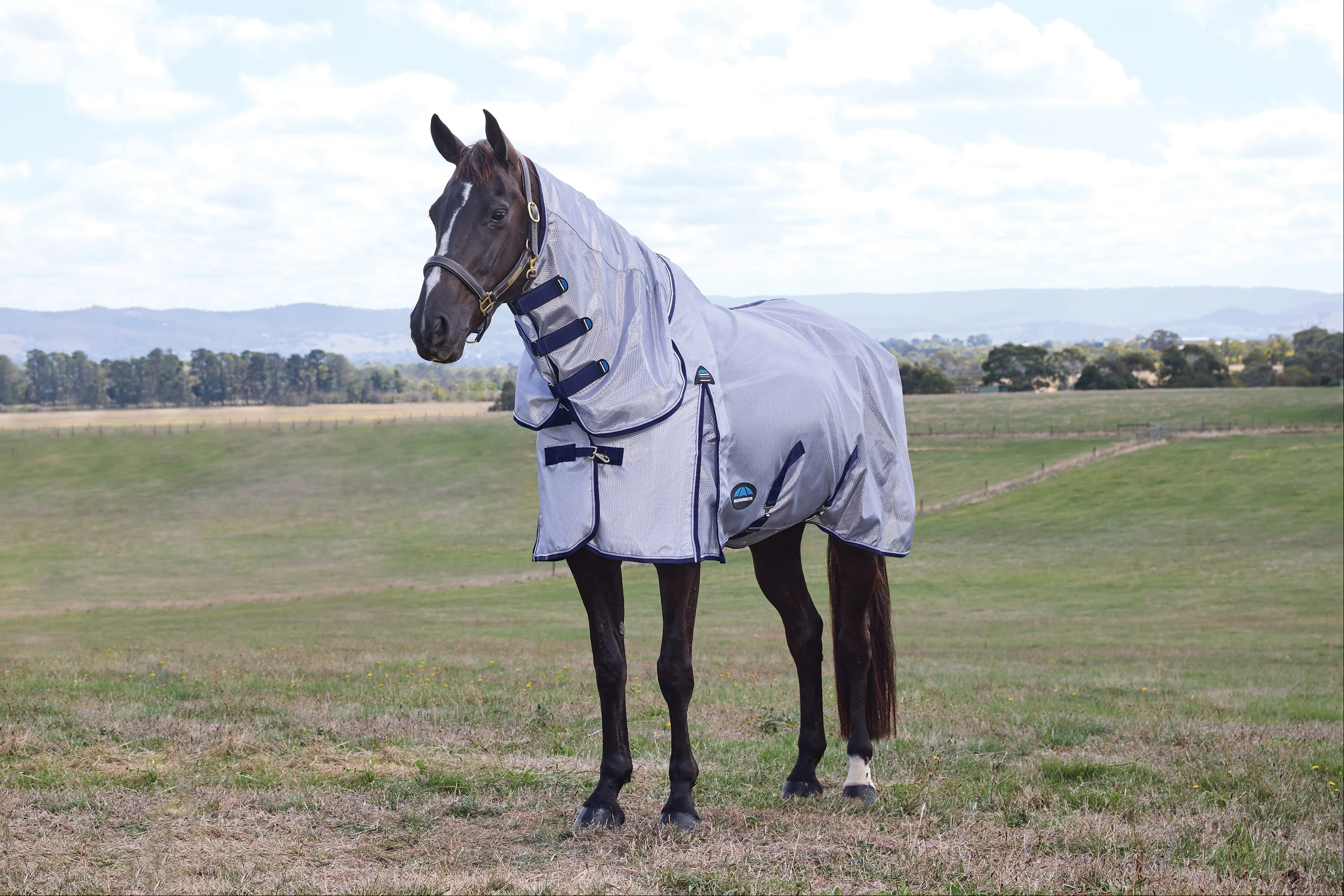 Weatherbeeta Comfitec Hexi Shield Fly Sheet Combo Silver/Navy/White