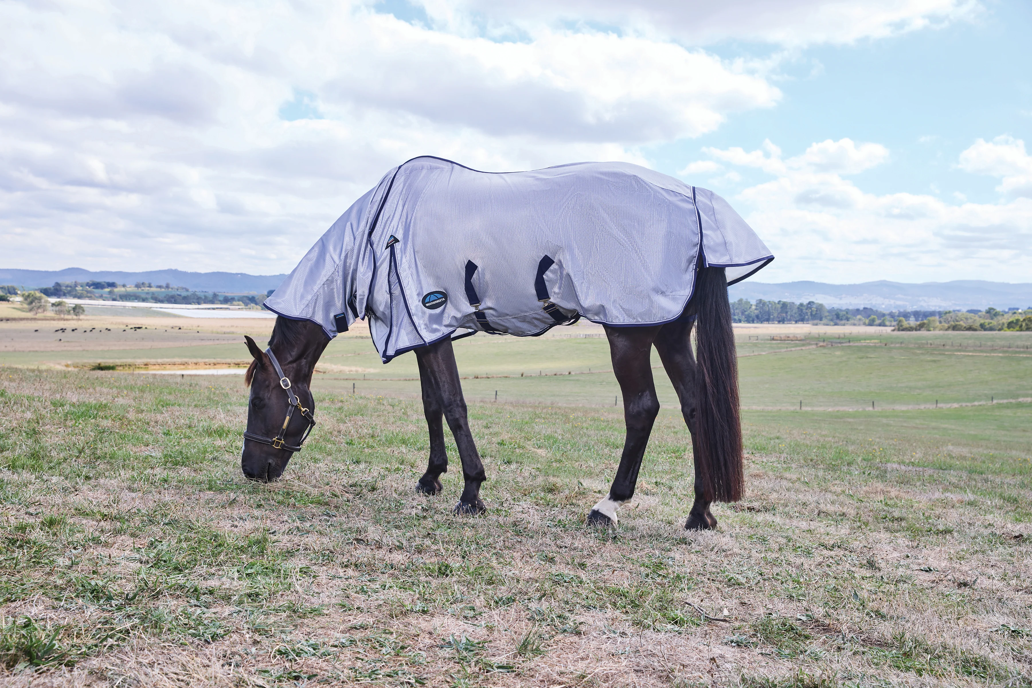 Weatherbeeta Comfitec Hexi Shield Fly Sheet Combo Silver/Navy/White - Image 7