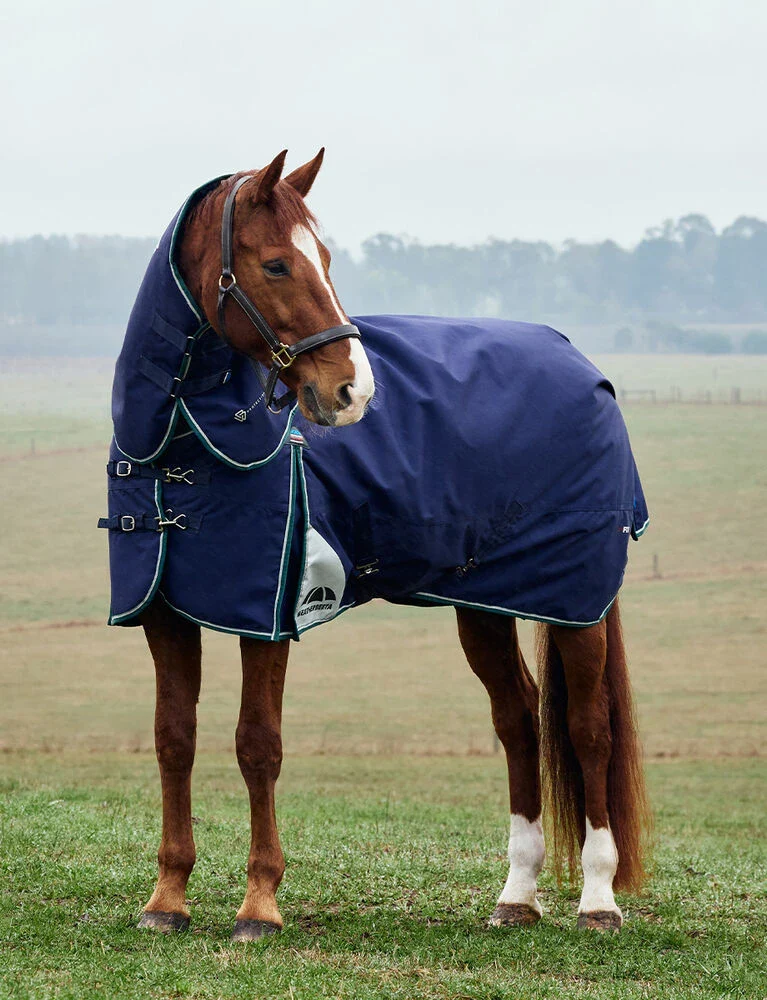 Weatherbeeta Comfitec Plus Dynamic Turnout Detach-A-Neck 100g Forest Green / Navy - Image 5